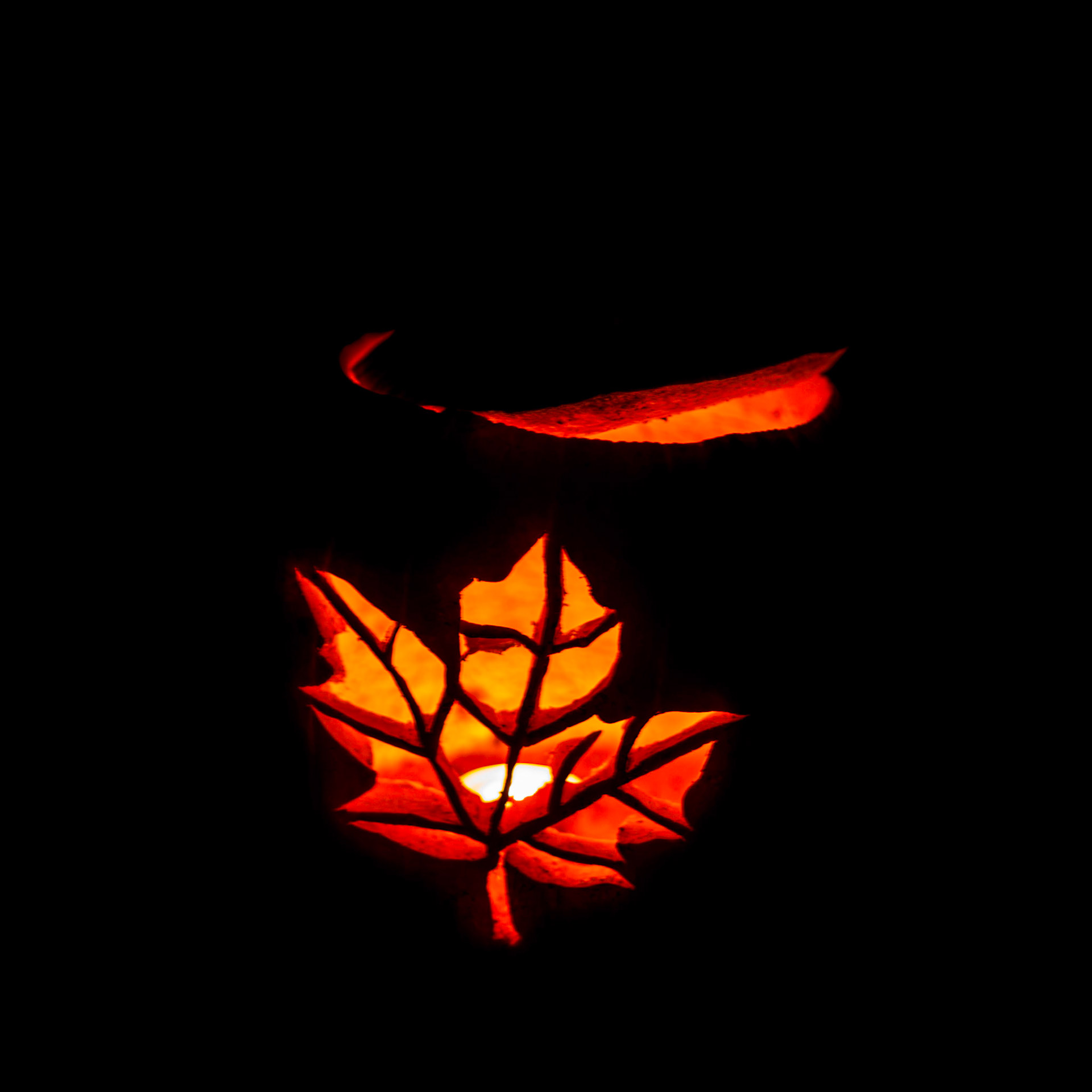 Pumpkin Trail