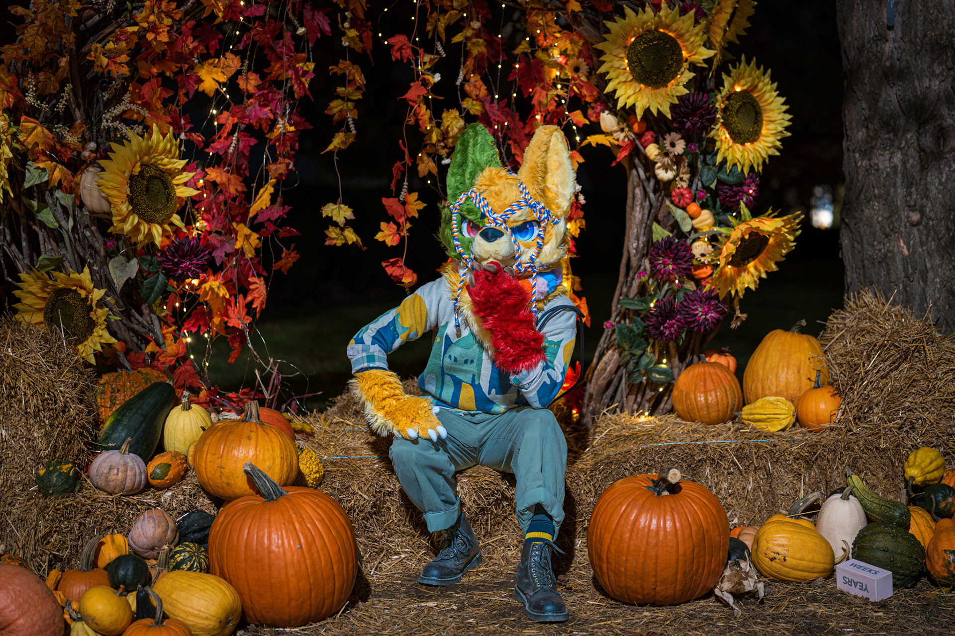Pumpkin Trail