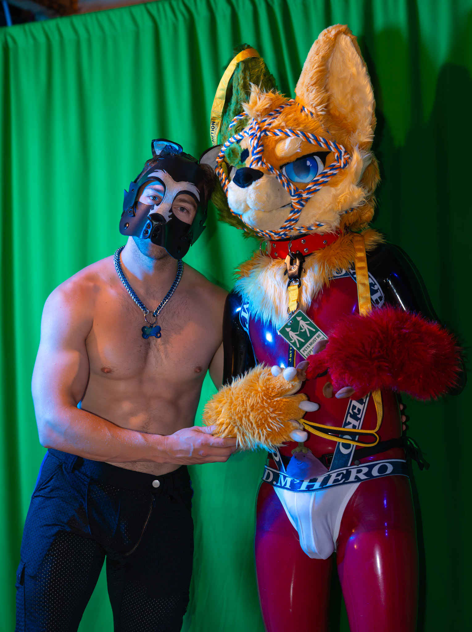 Pawty #2