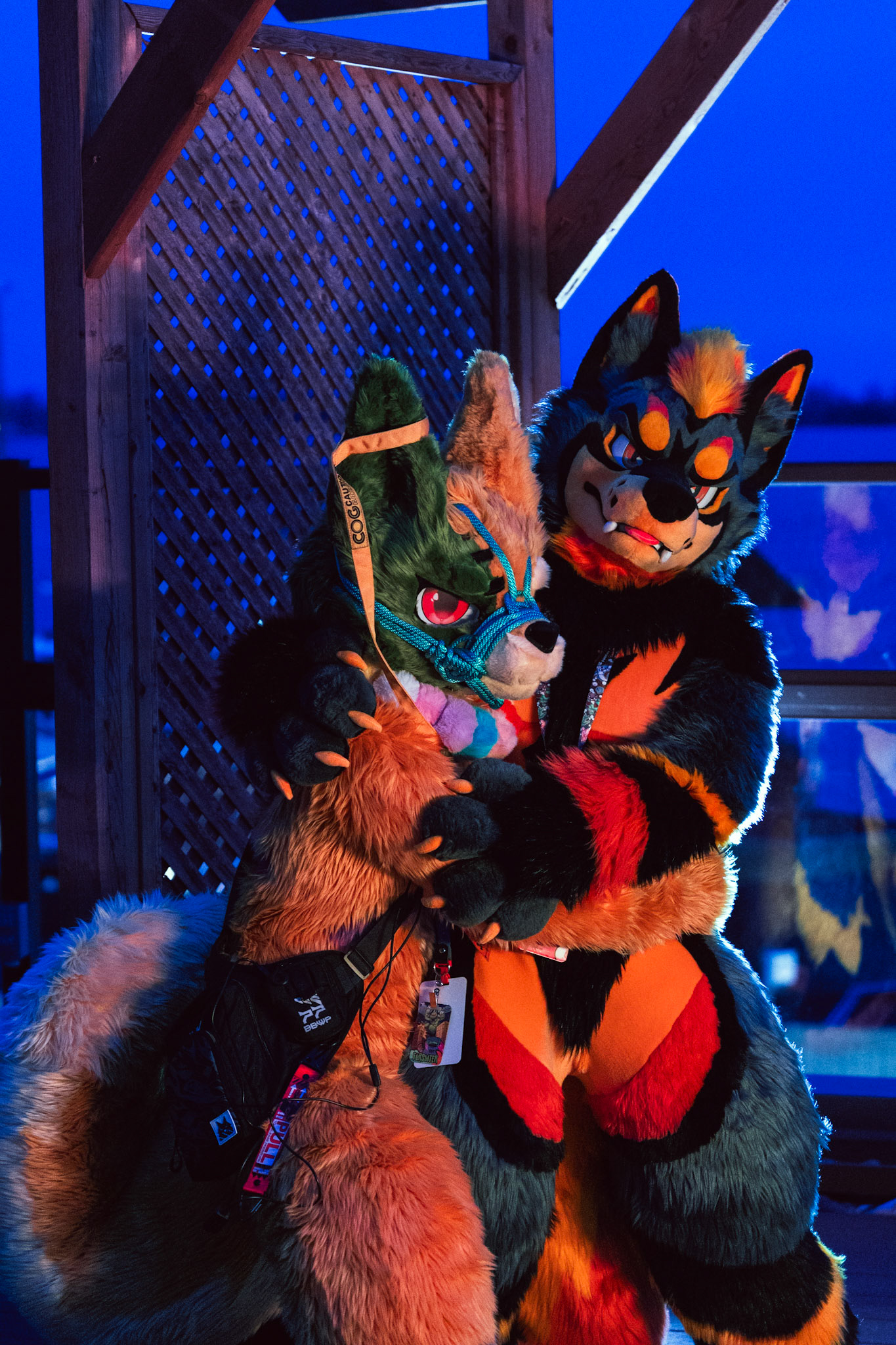 Furnal Equinox 2025