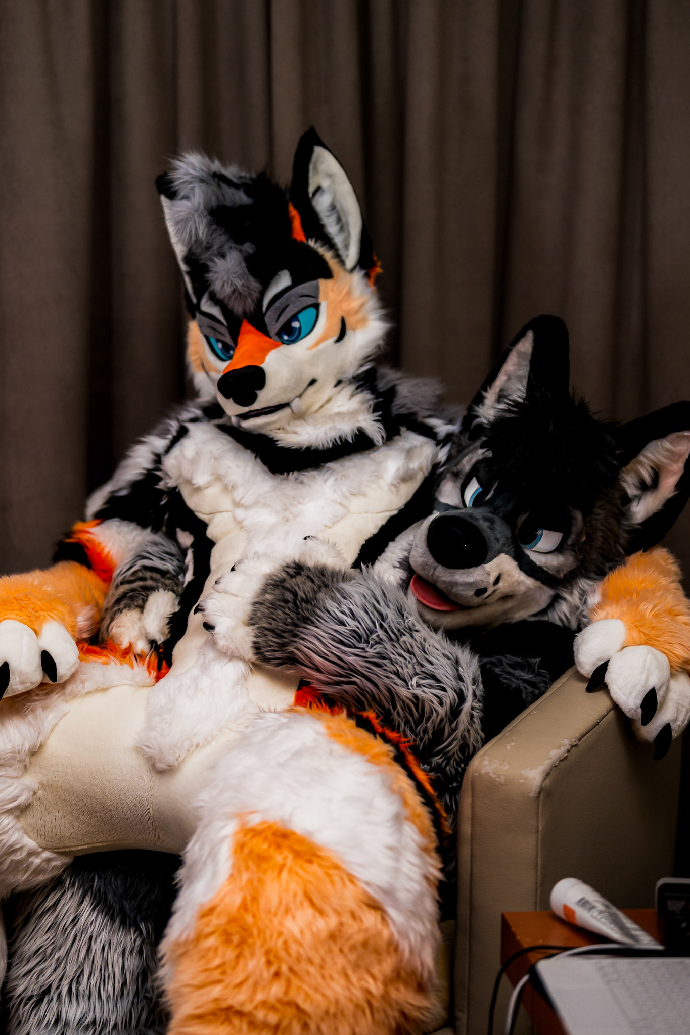 Anthrocon 2026