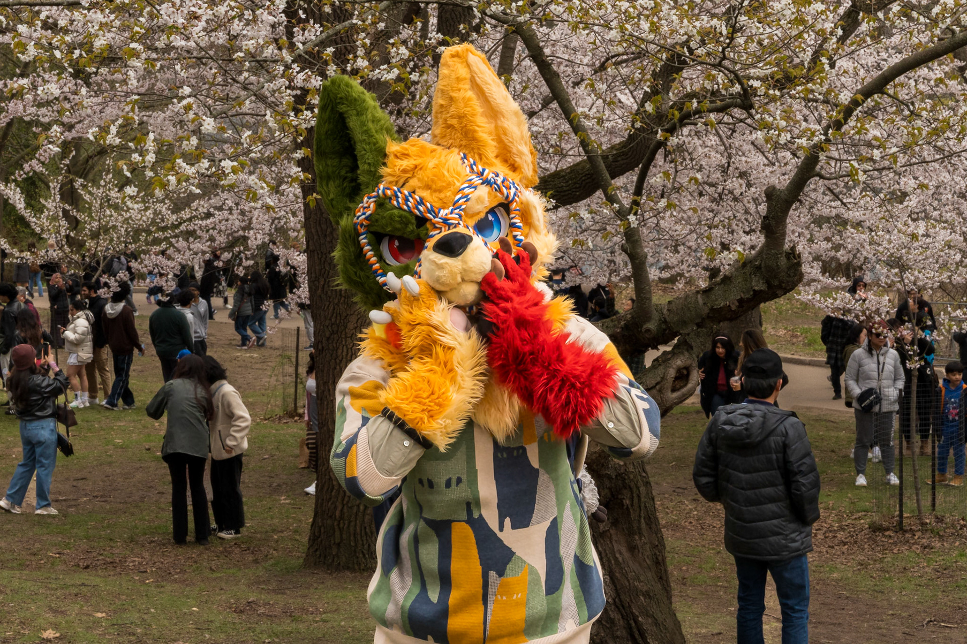 High Park 4.0
