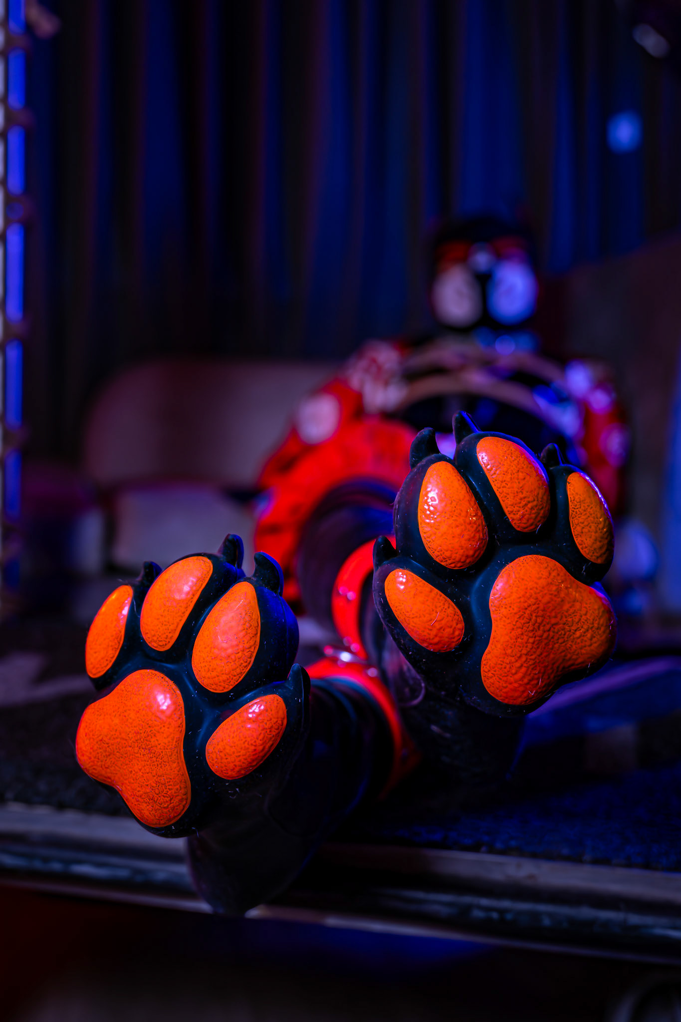 Furnal Equinox