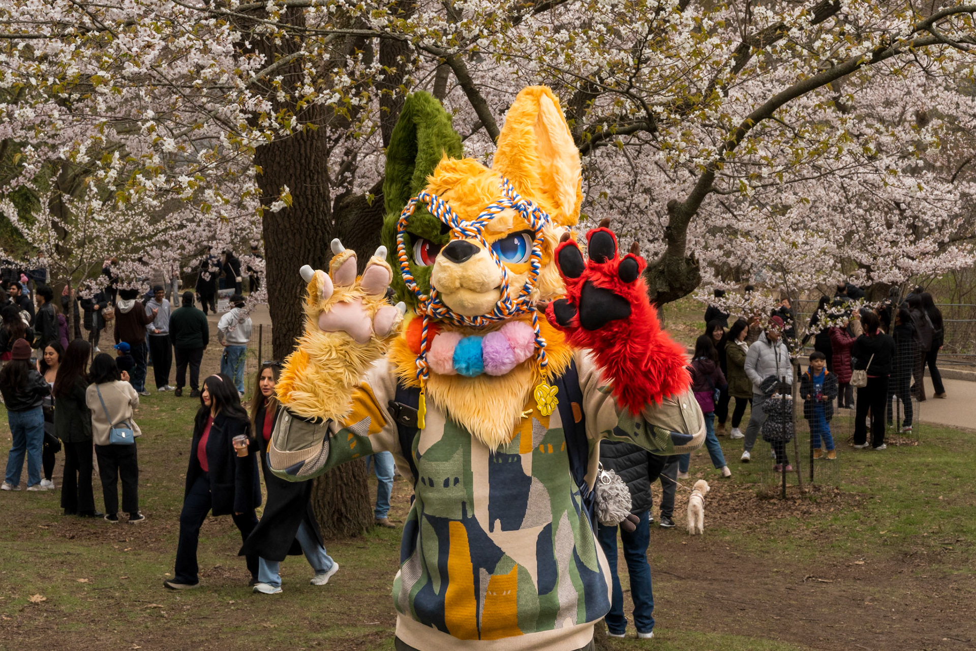 High Park 4.0