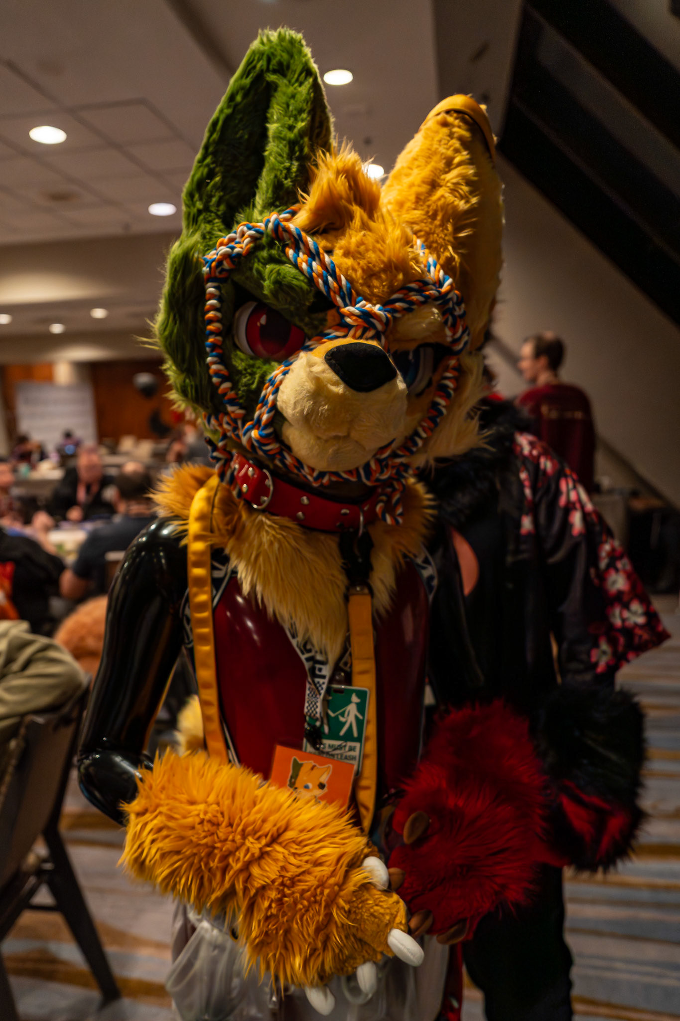 Furnal Equinox