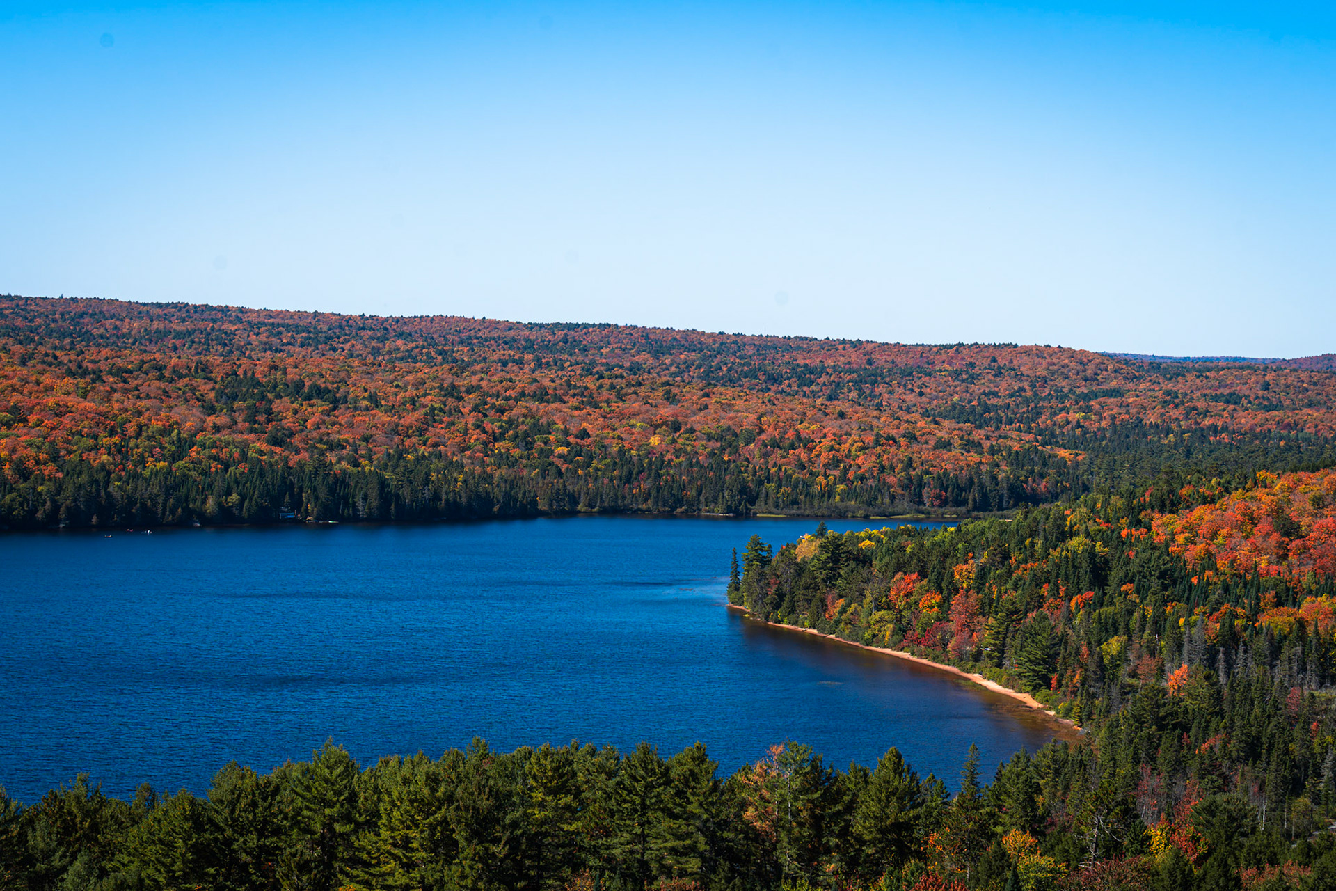Algonquin Fall Colour