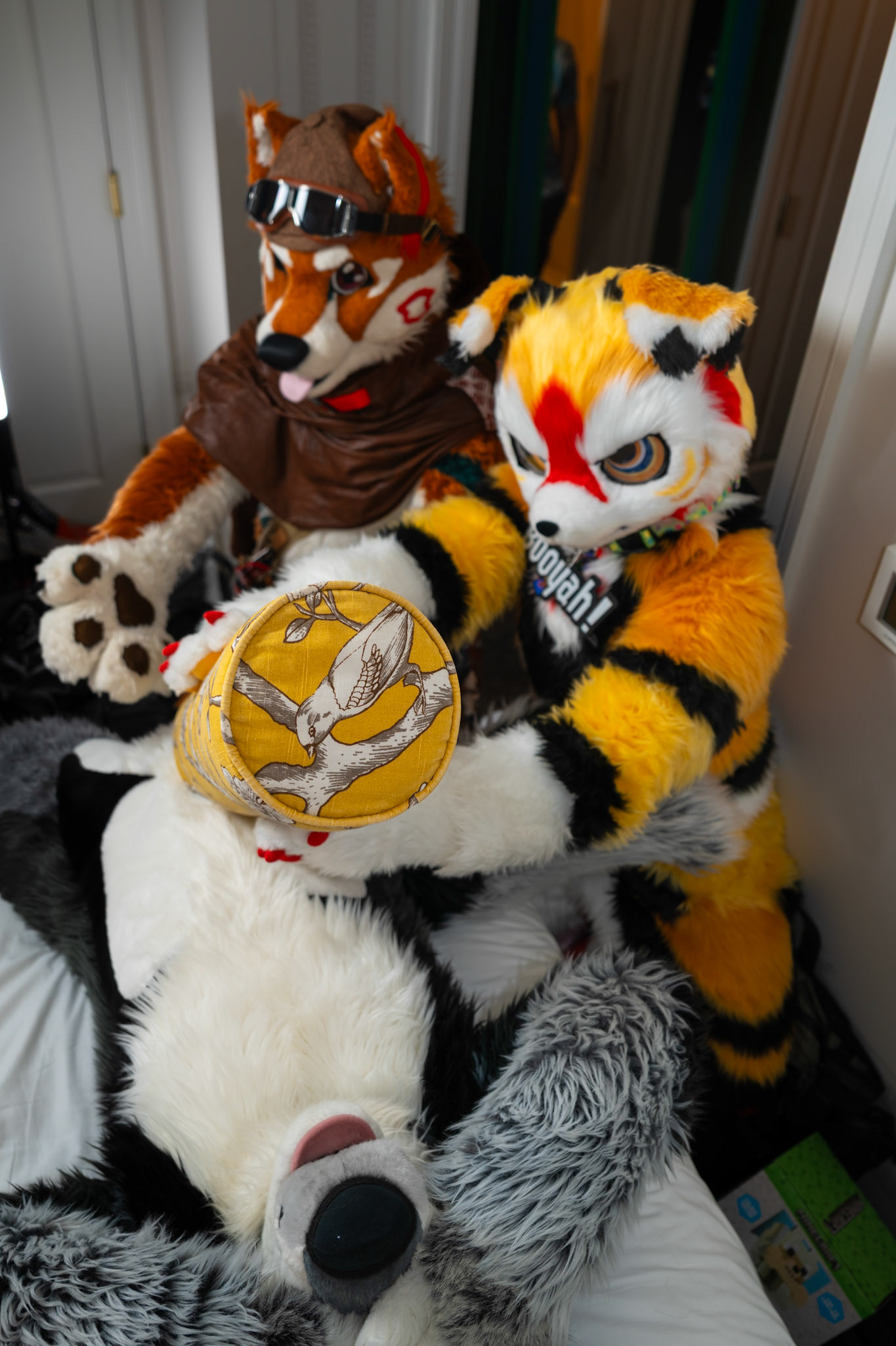 Anthrocon 2025