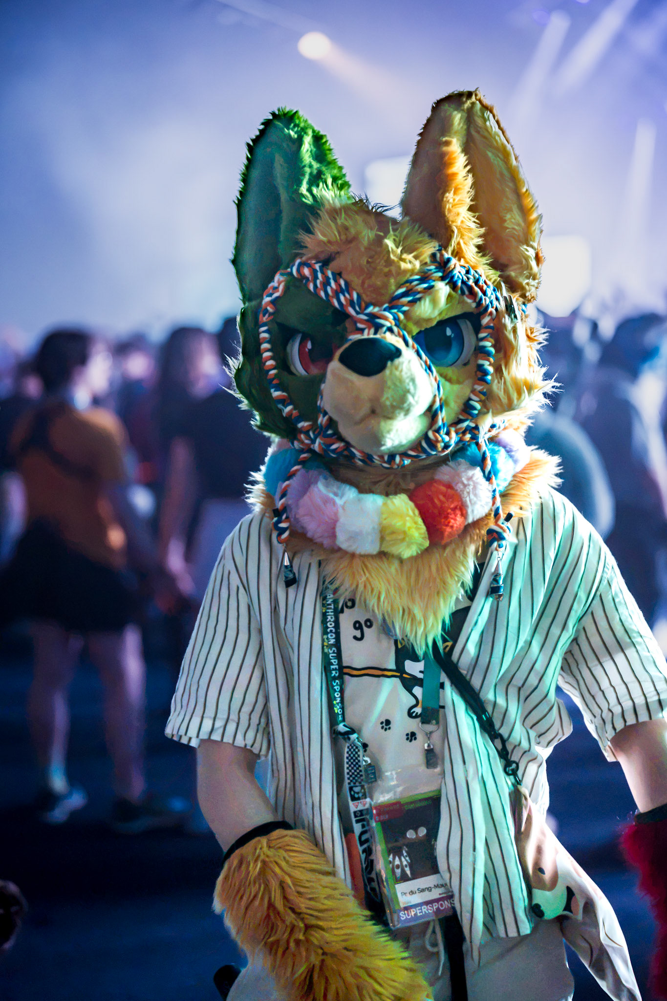 Anthrocon 2026