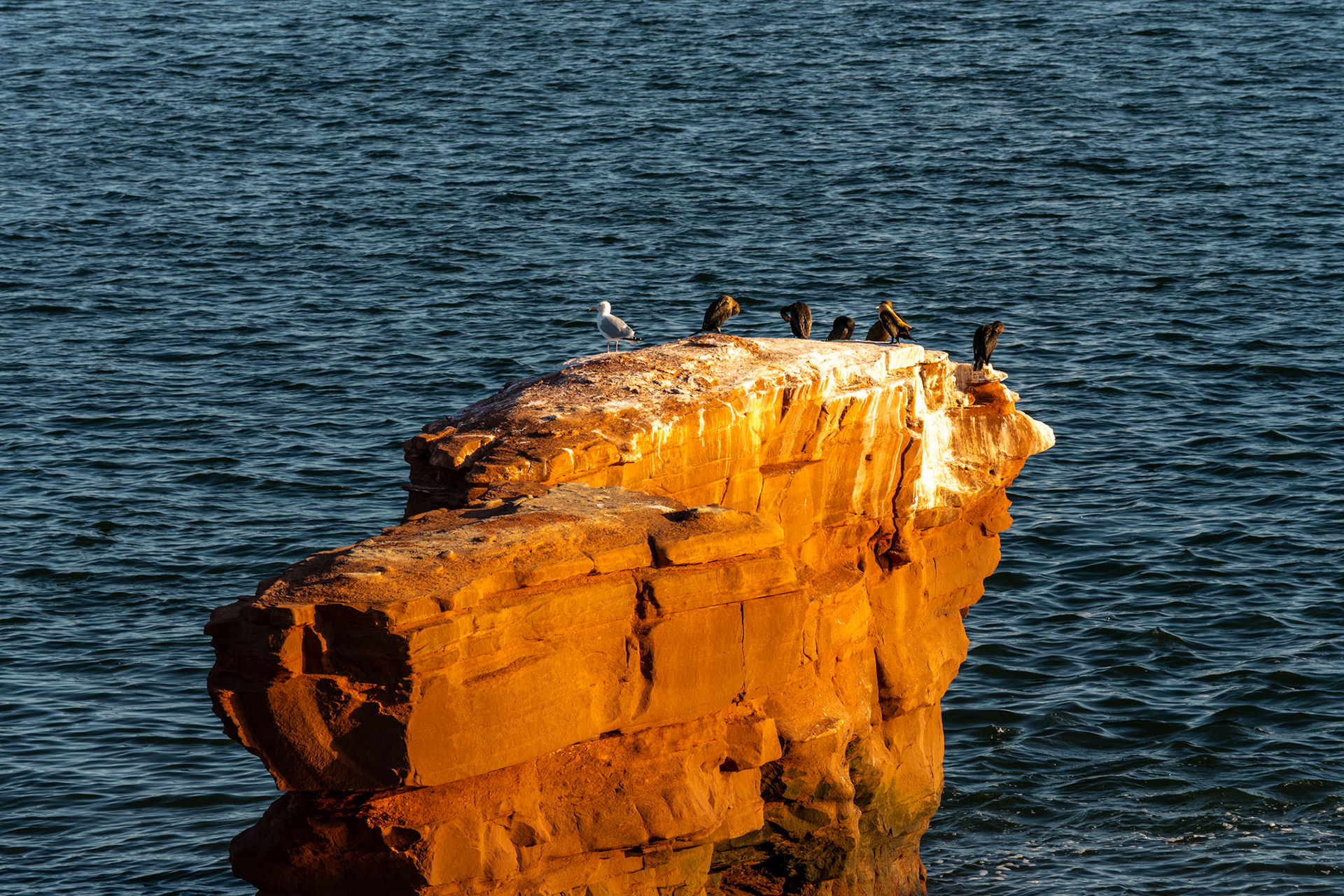 PEI Labour Day Trip