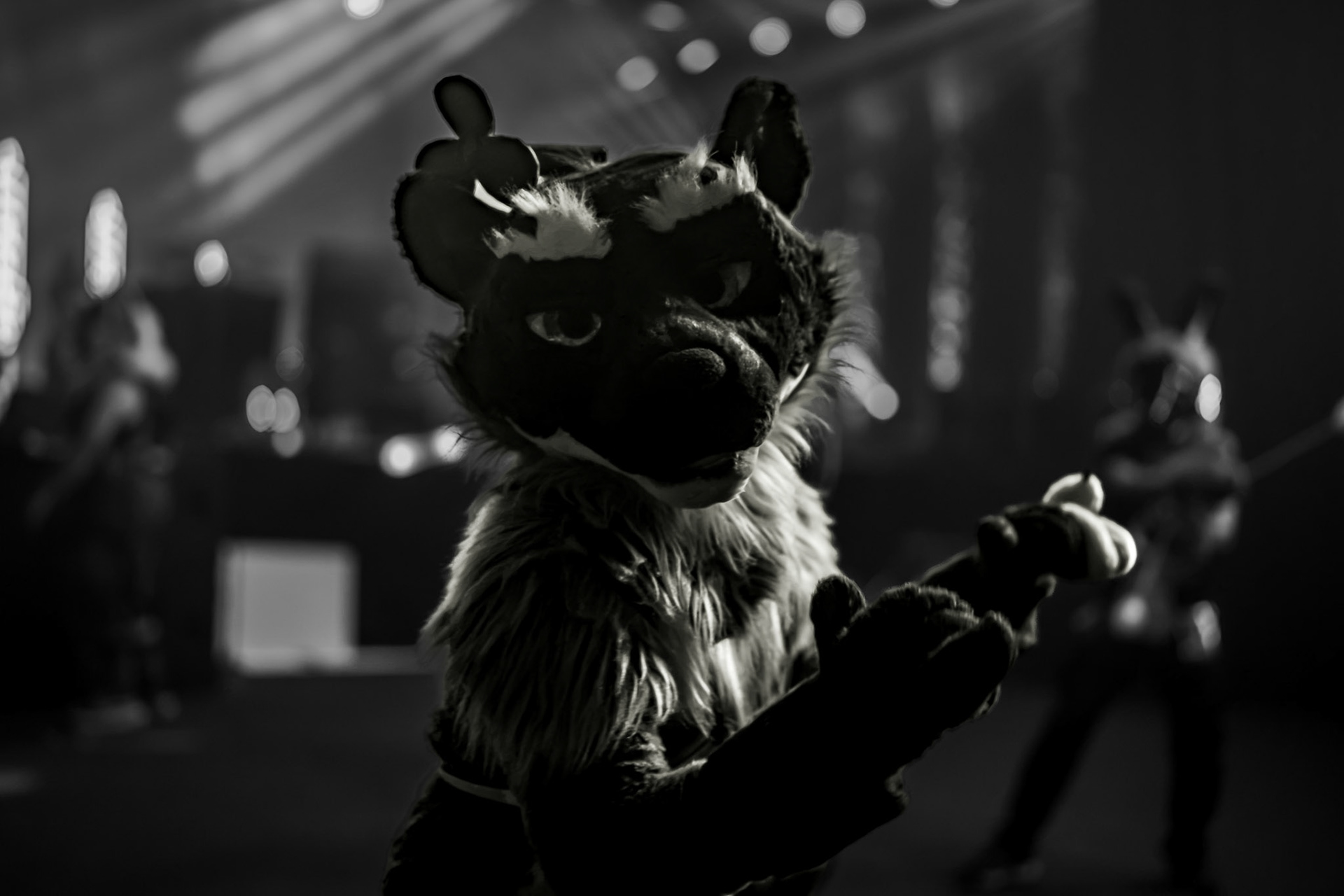 Anthrocon 2026