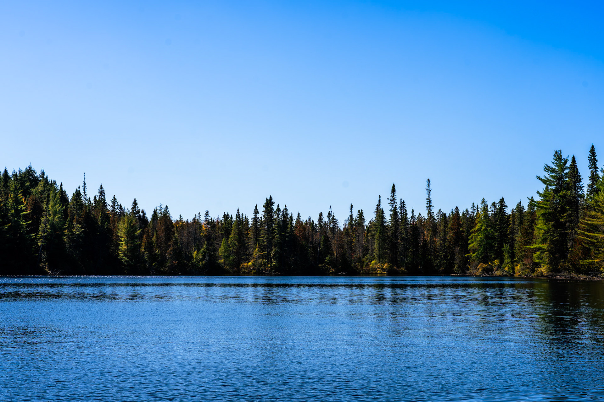 Algonquin Fall Colour