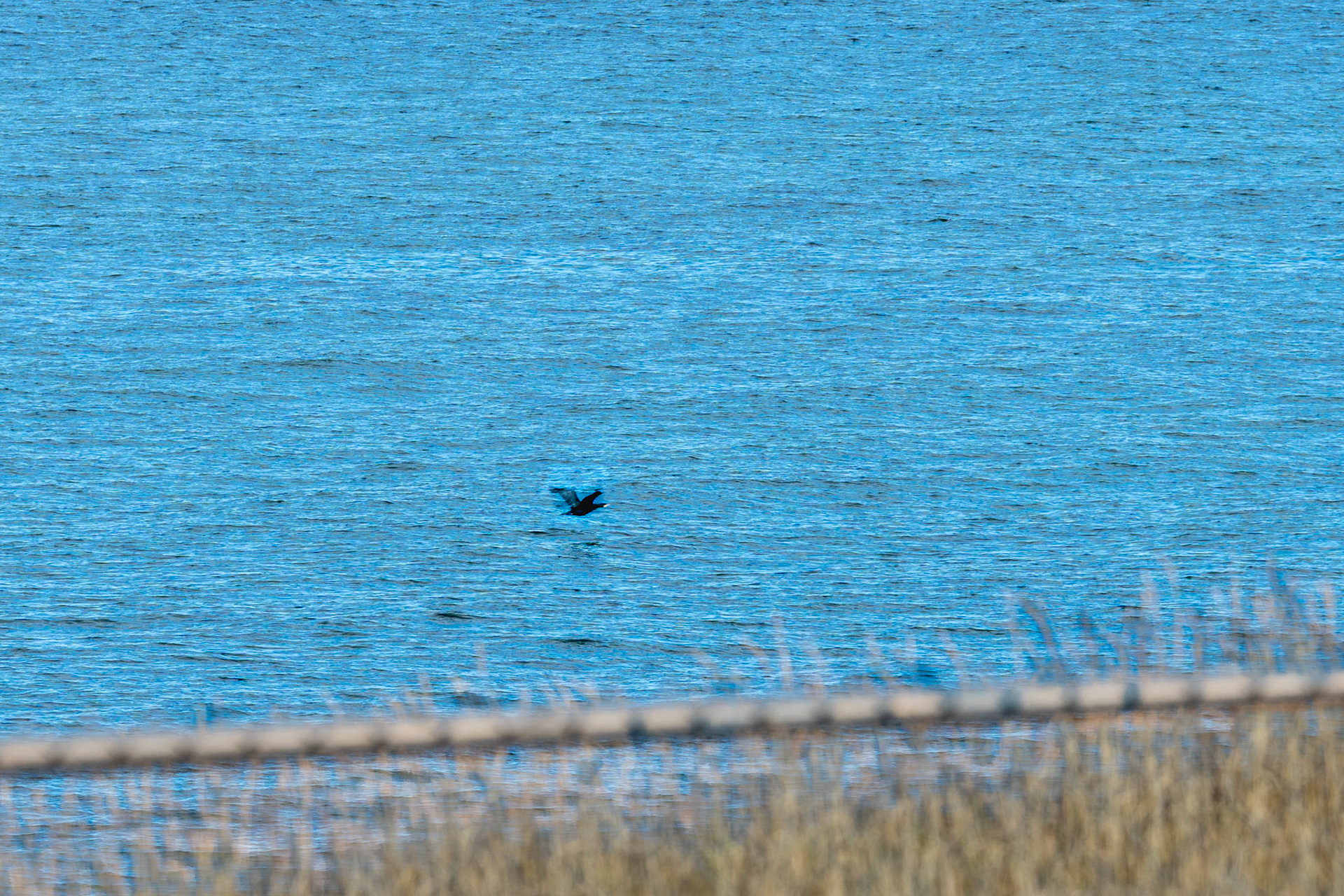 PEI Labour Day Trip