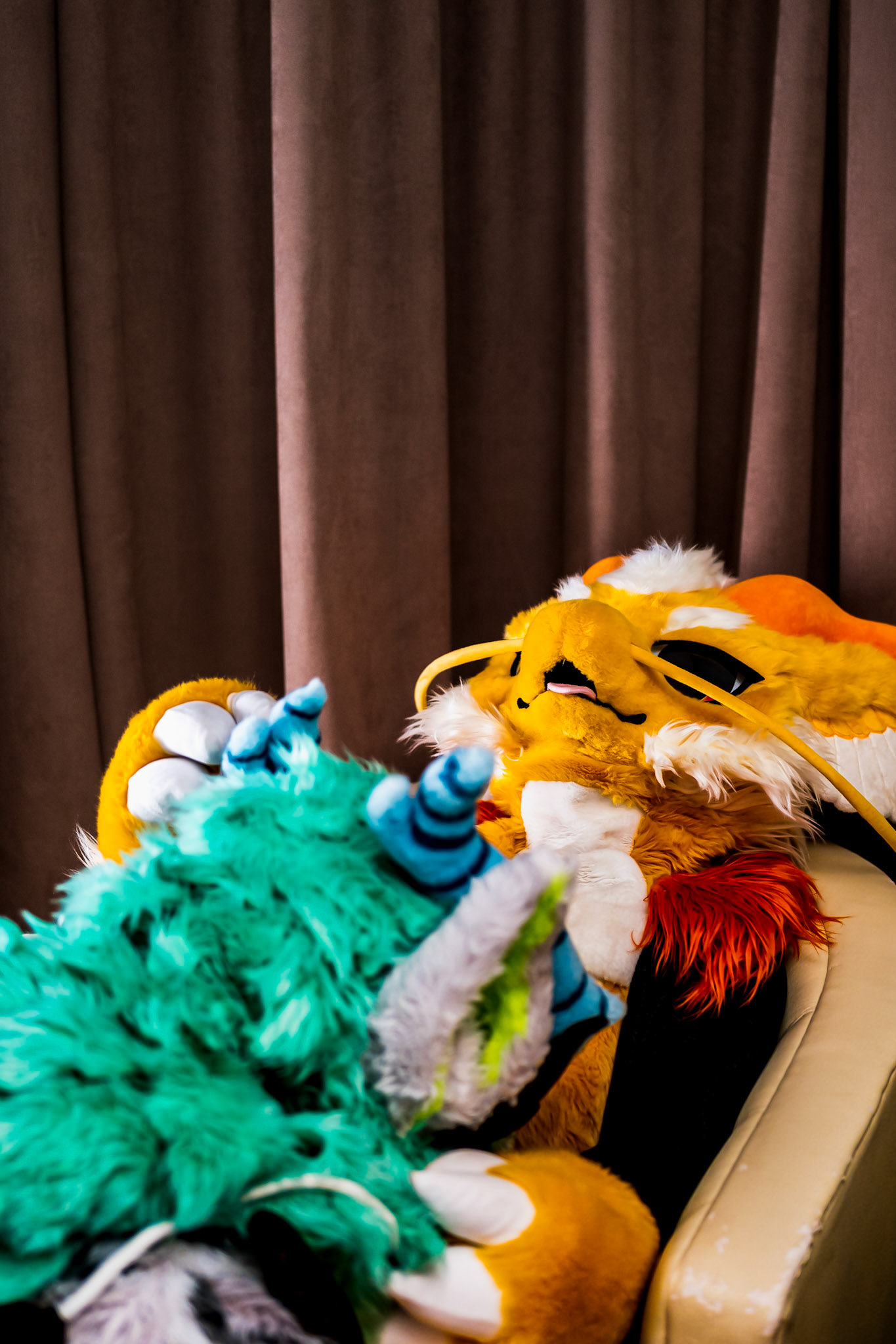 Anthrocon 2026