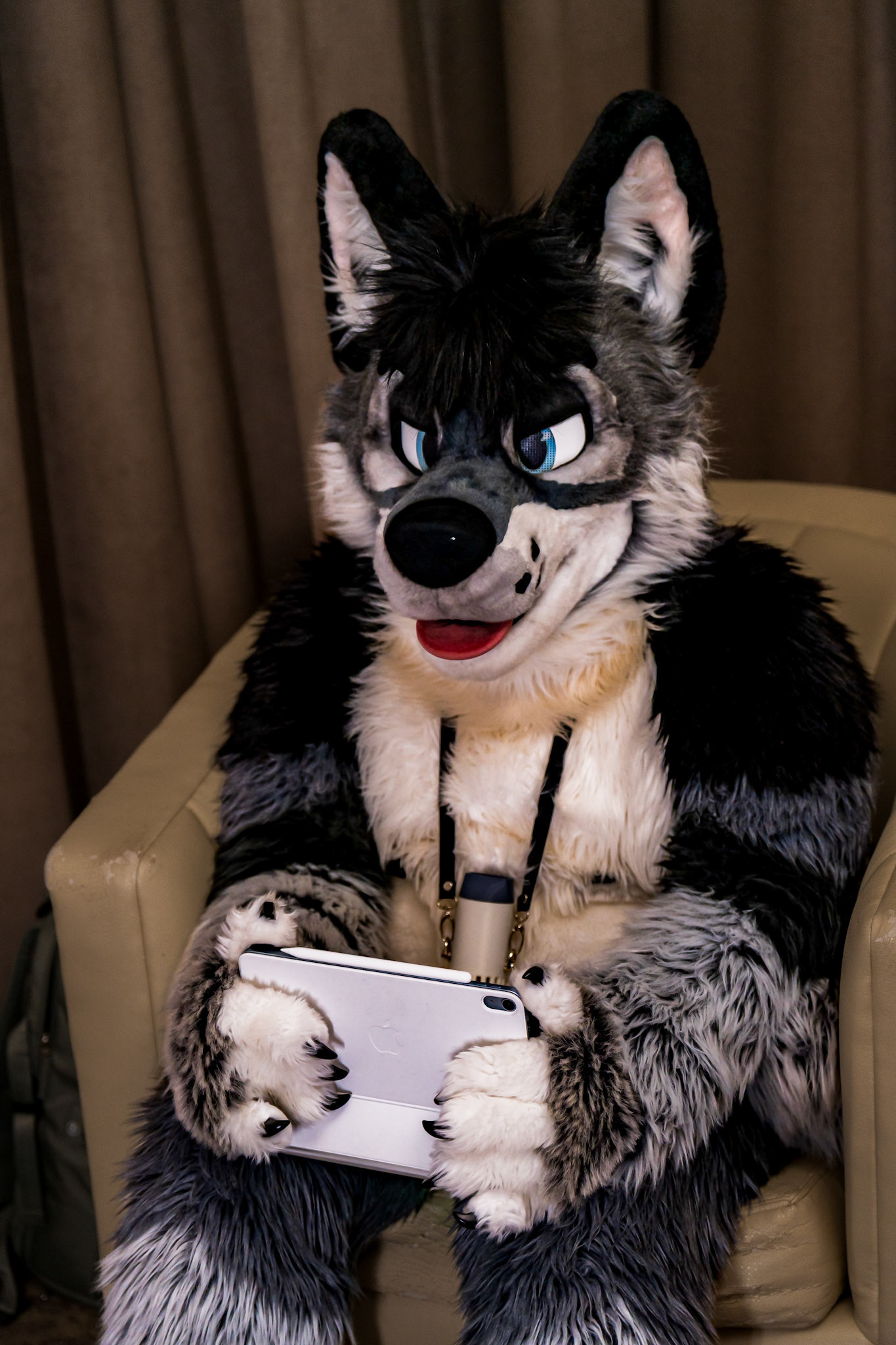 Anthrocon 2026