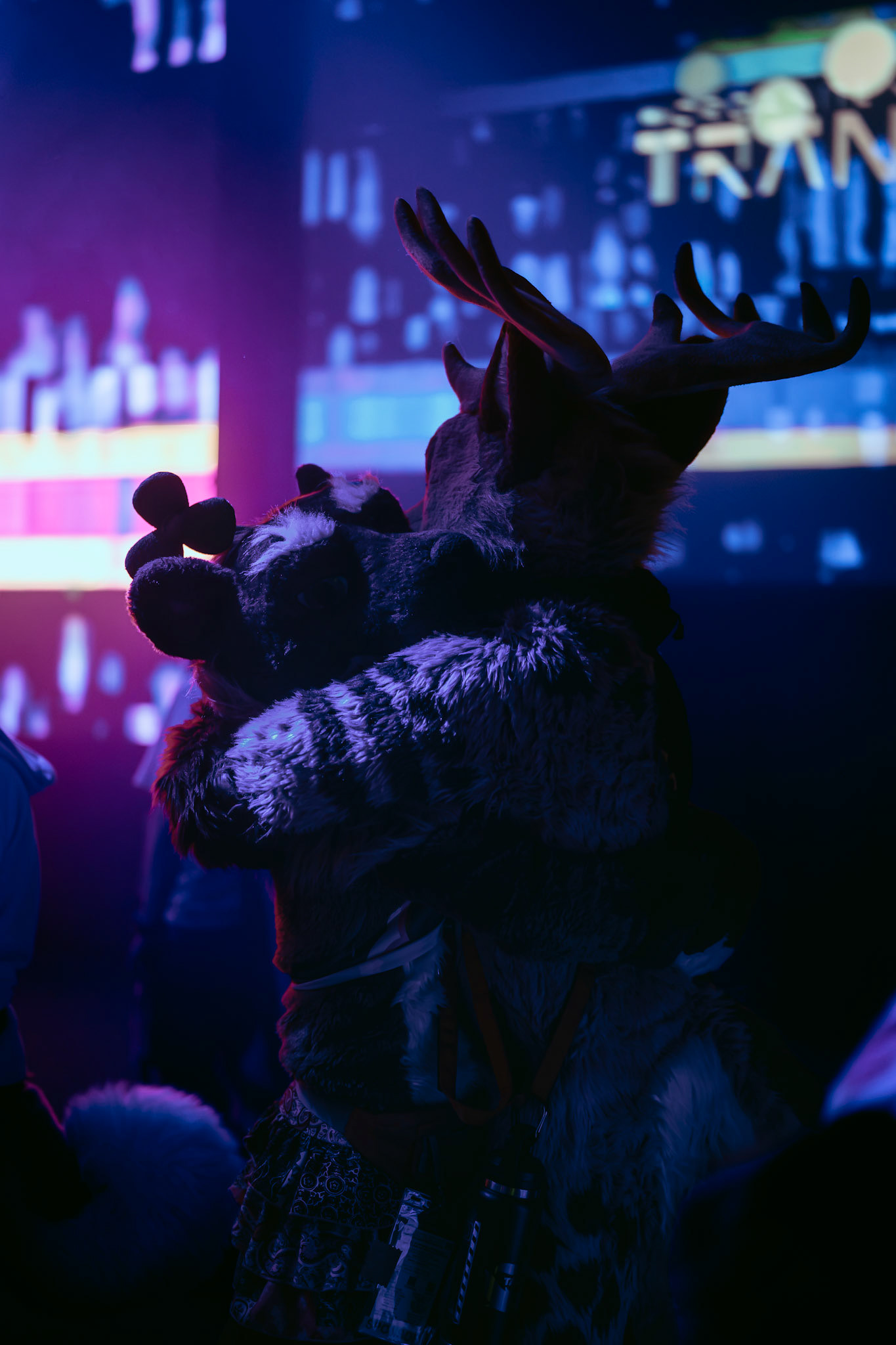 Anthrocon 2026