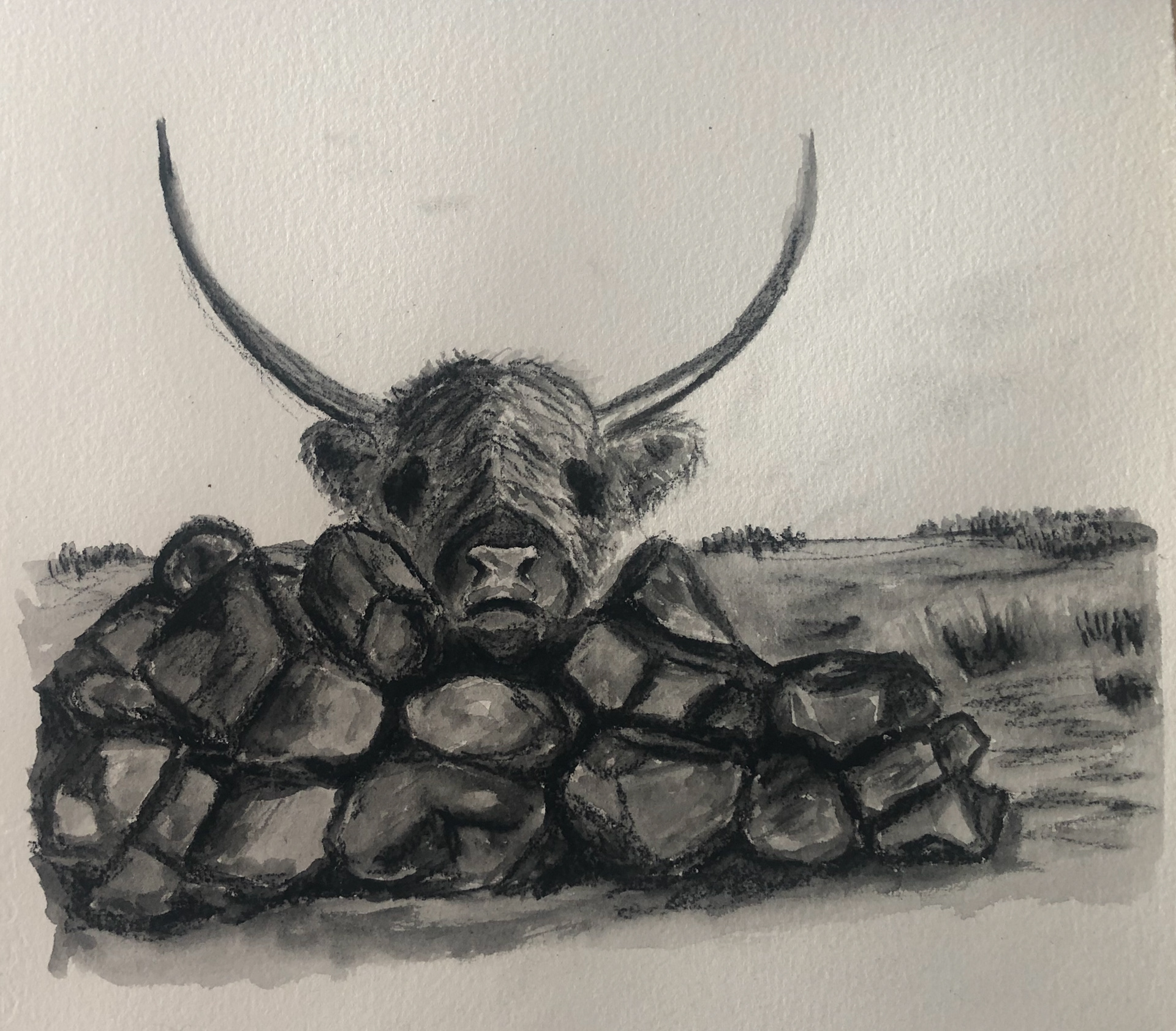 Charcoal and water on watercolor paper. 5'X7'
