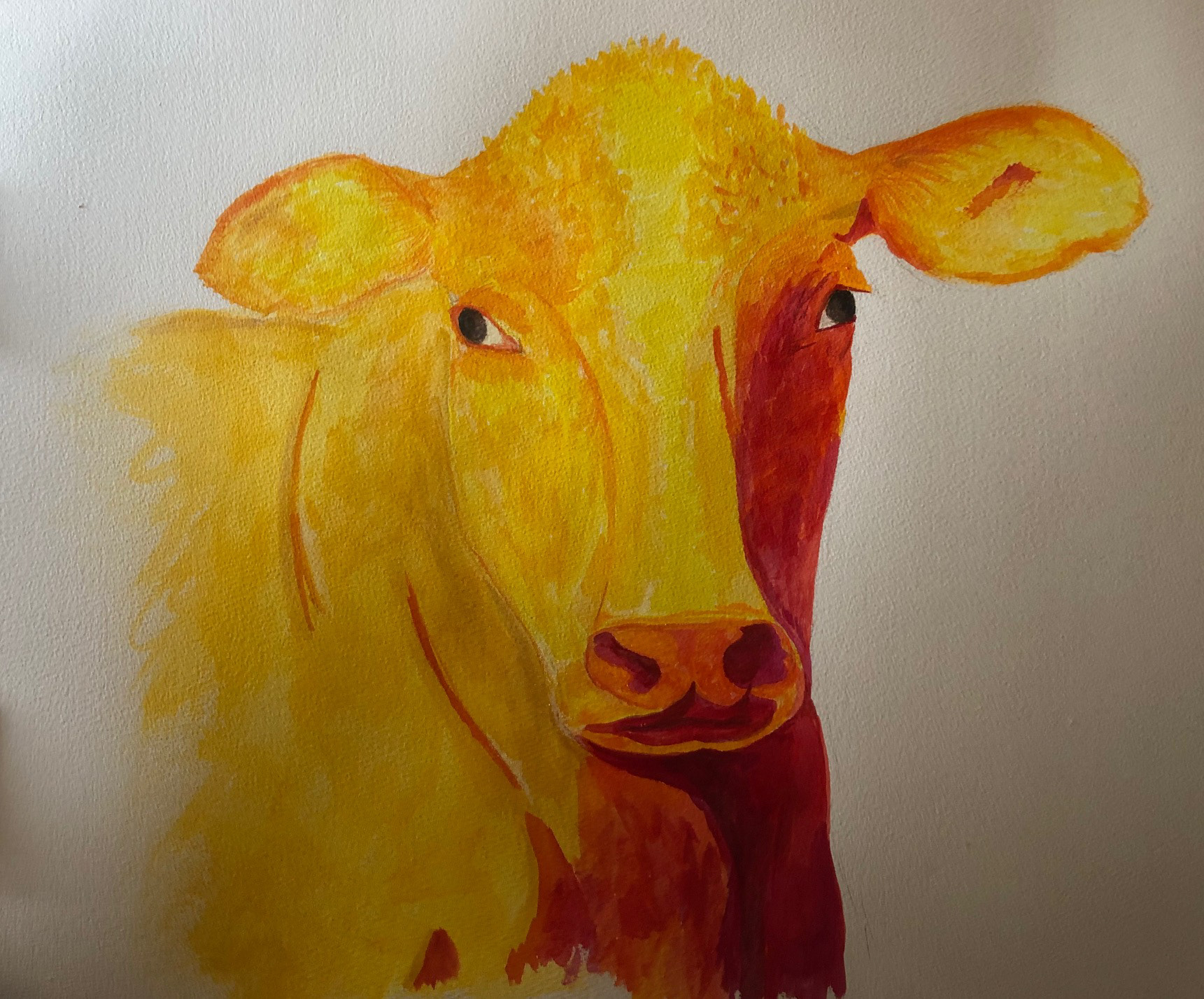 Color Indian Ink and Prismacolor pencil on watercolor paper 24'X32'