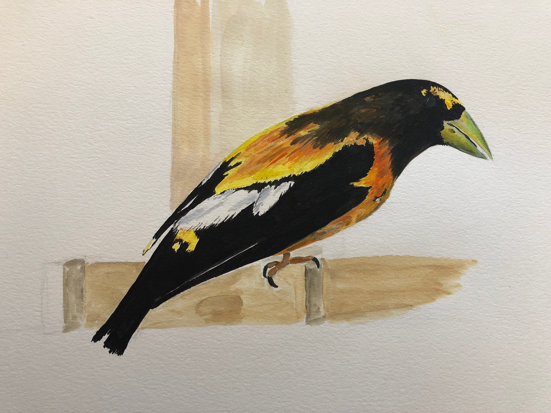 Color Indian Ink on watercolor paper. 8'X10'