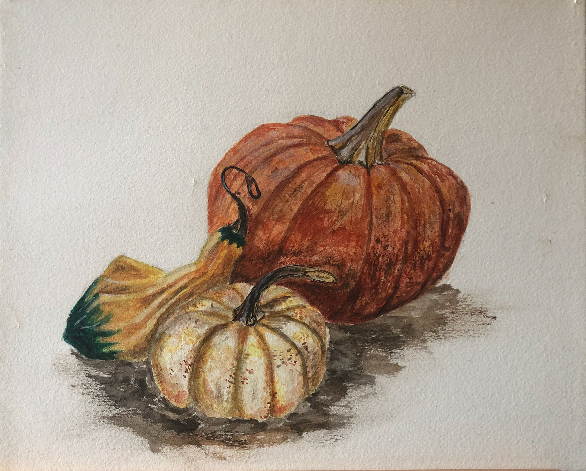 Dry brush Watercolor still life on self-stretched paper. 12'X18'