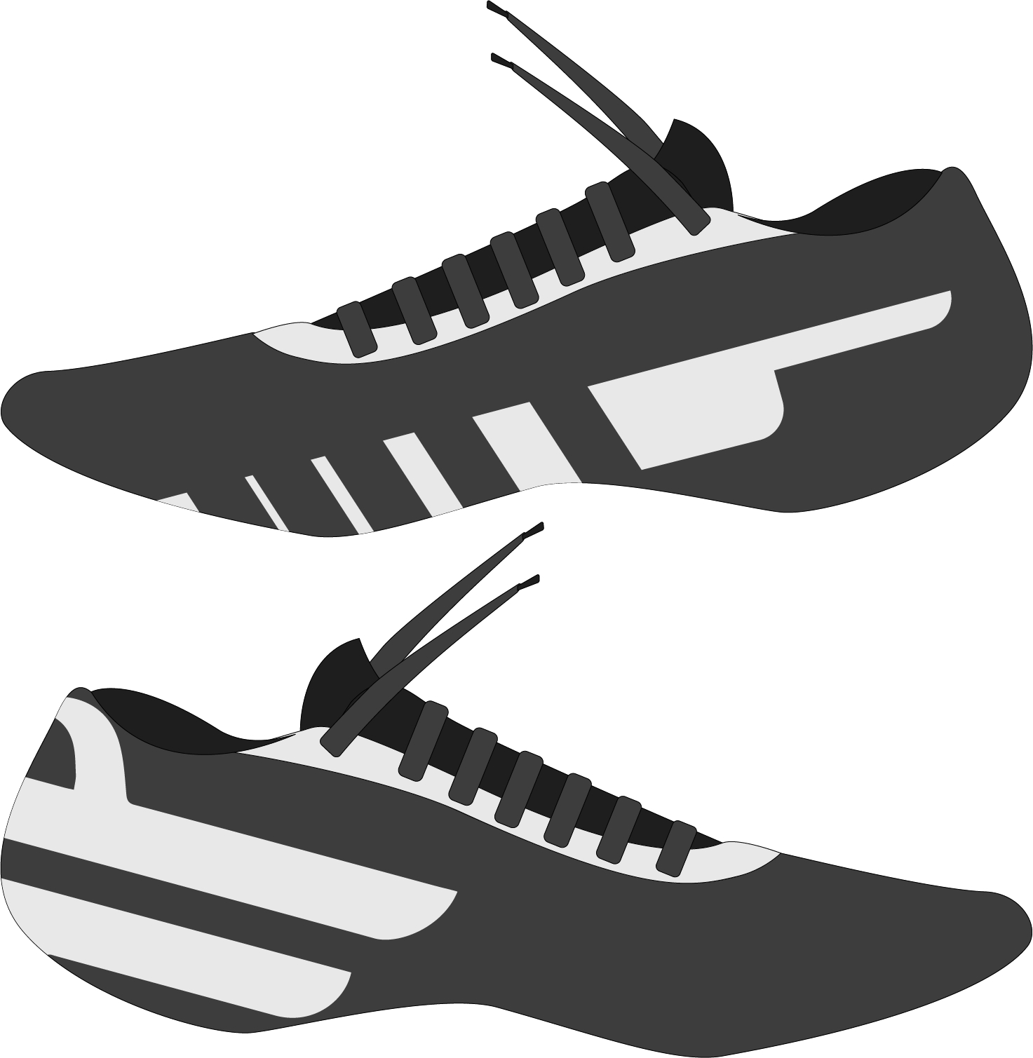 Lateral & Medial View