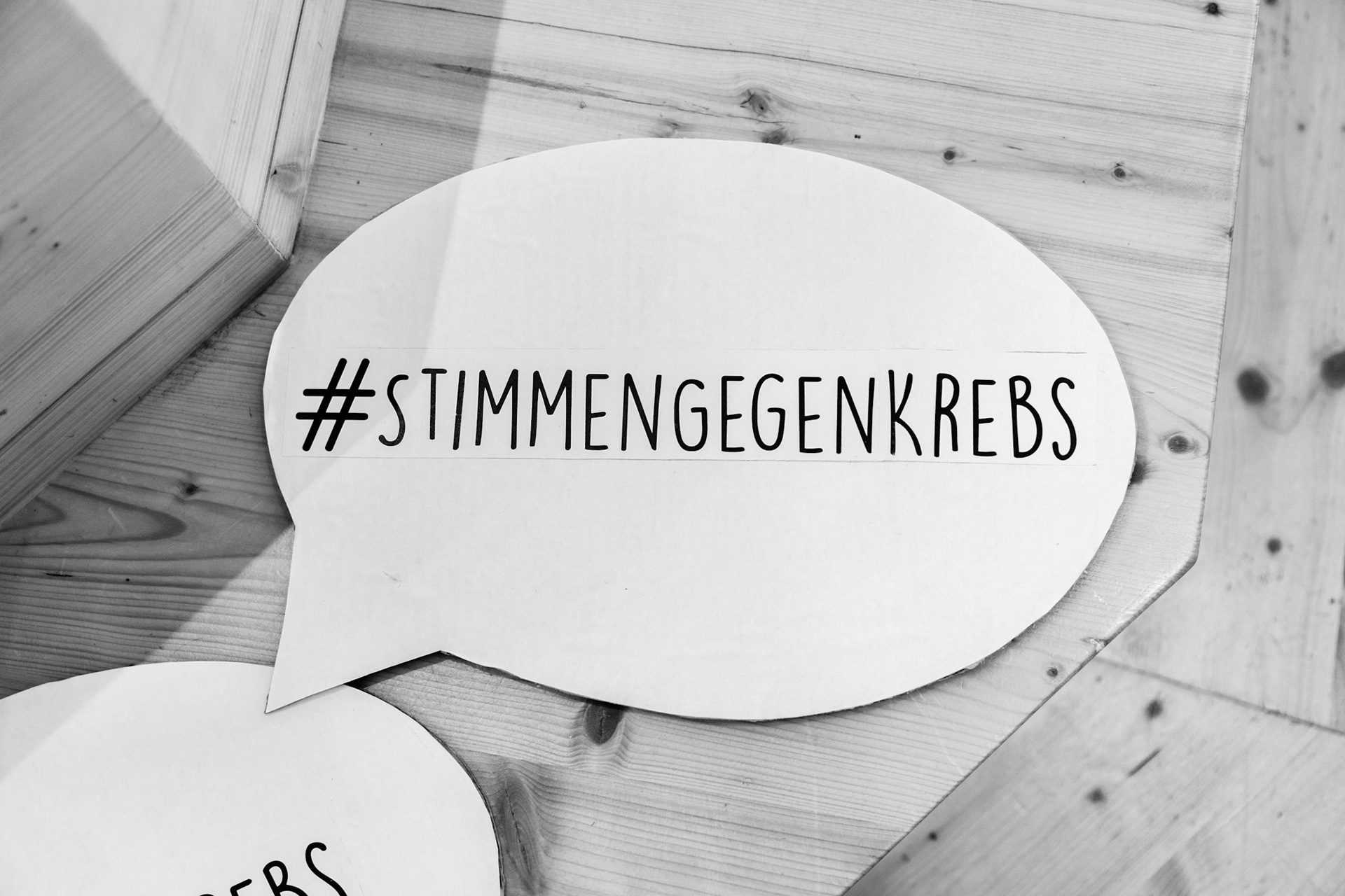 Stimmen gegen Krebs im Werk X am 8.Juni 2019 

Foto: Valerie Marie Voithofer