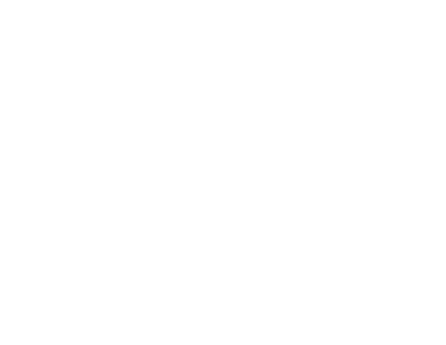 Kari Kramer