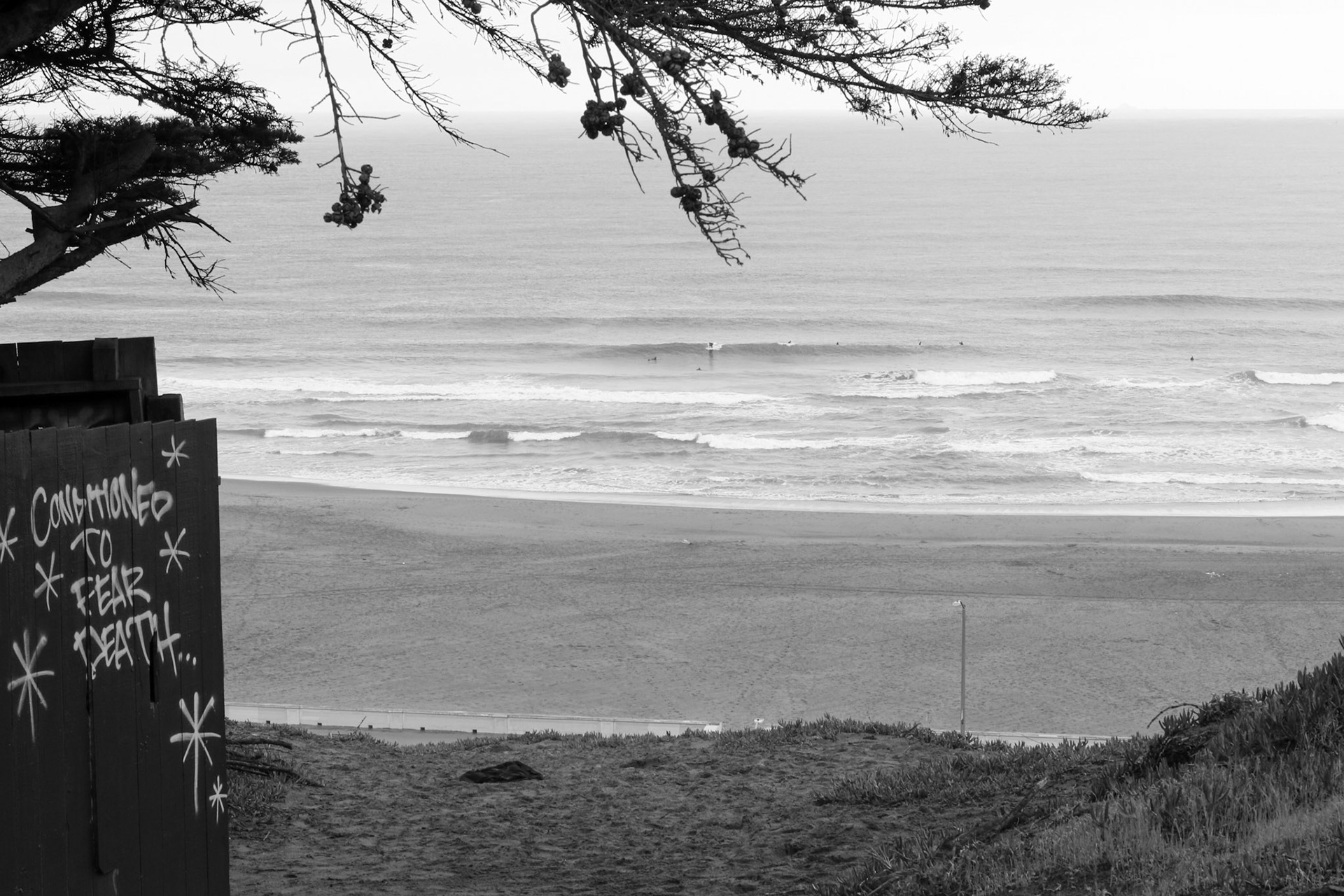 Surfers