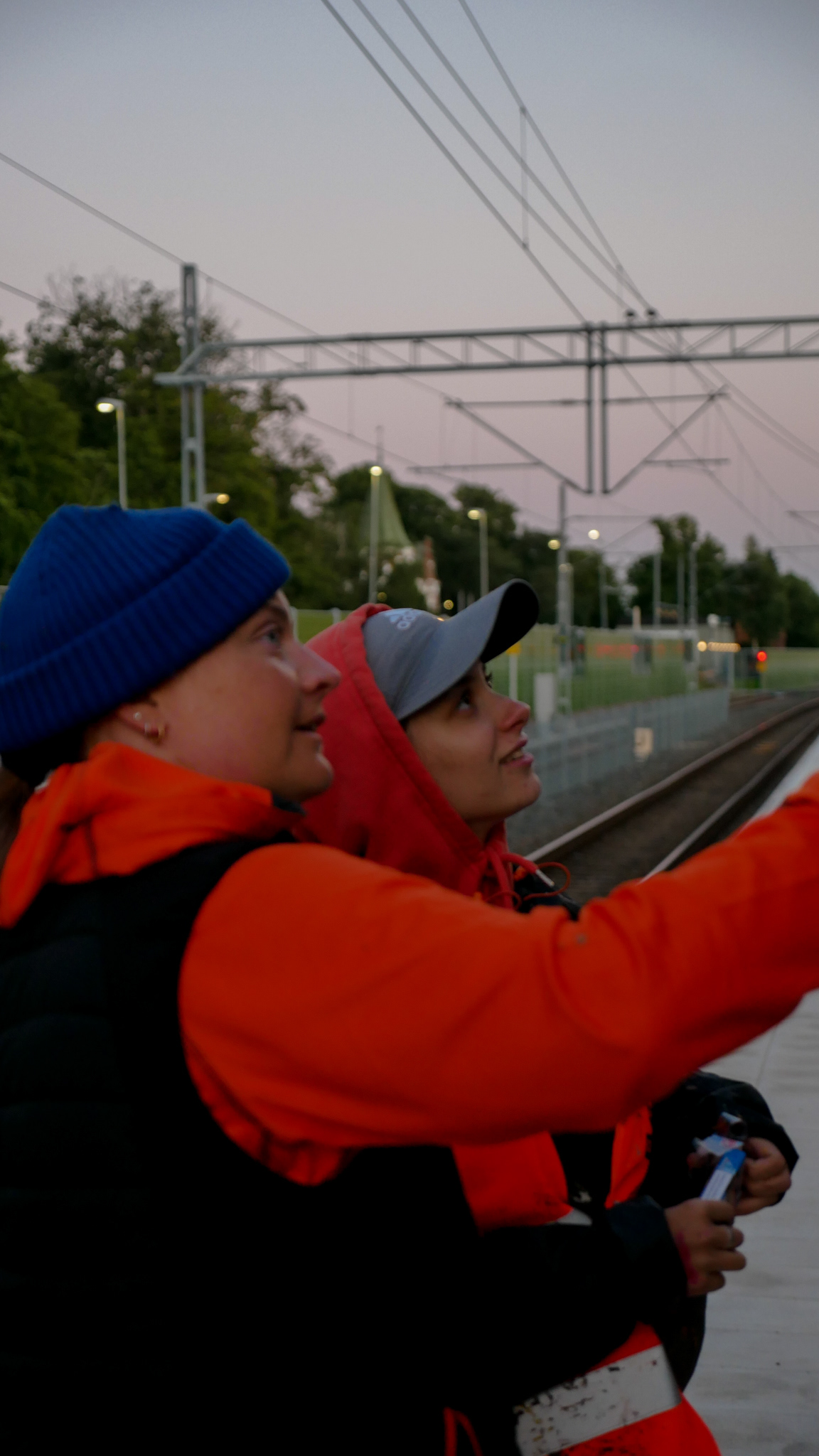 Svalöv Veteväggen