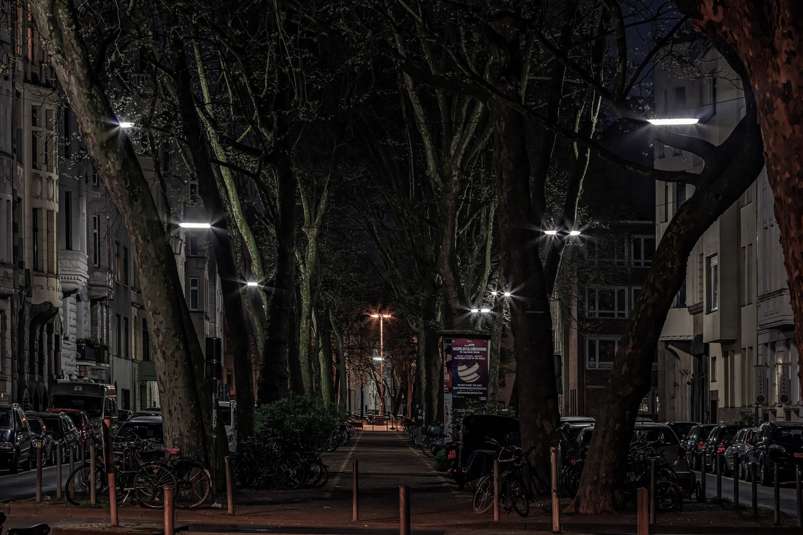 Mainzer Straße, aufgenommen Ecke Maternusstraße, Blick Richtung „Eierplätzchen“