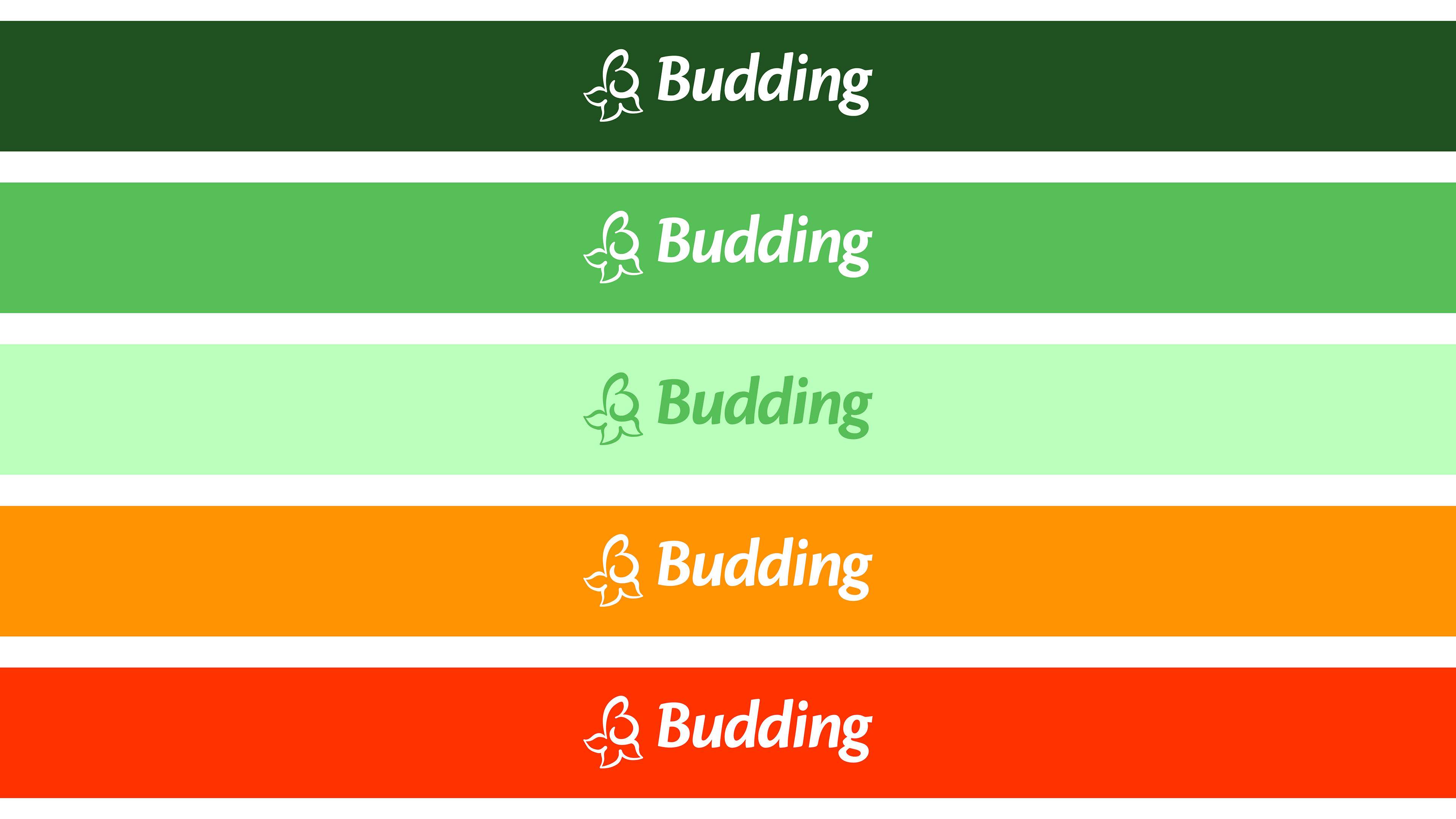 Logo with Brand Colors