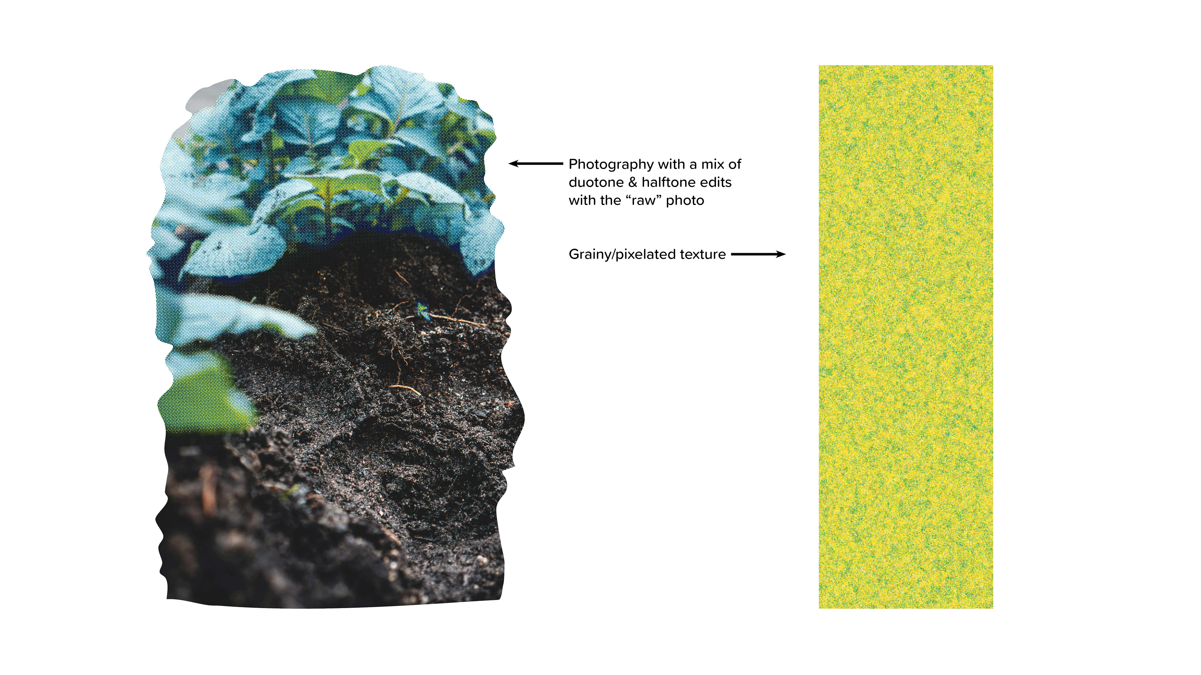 Photo Treatment and Textures
