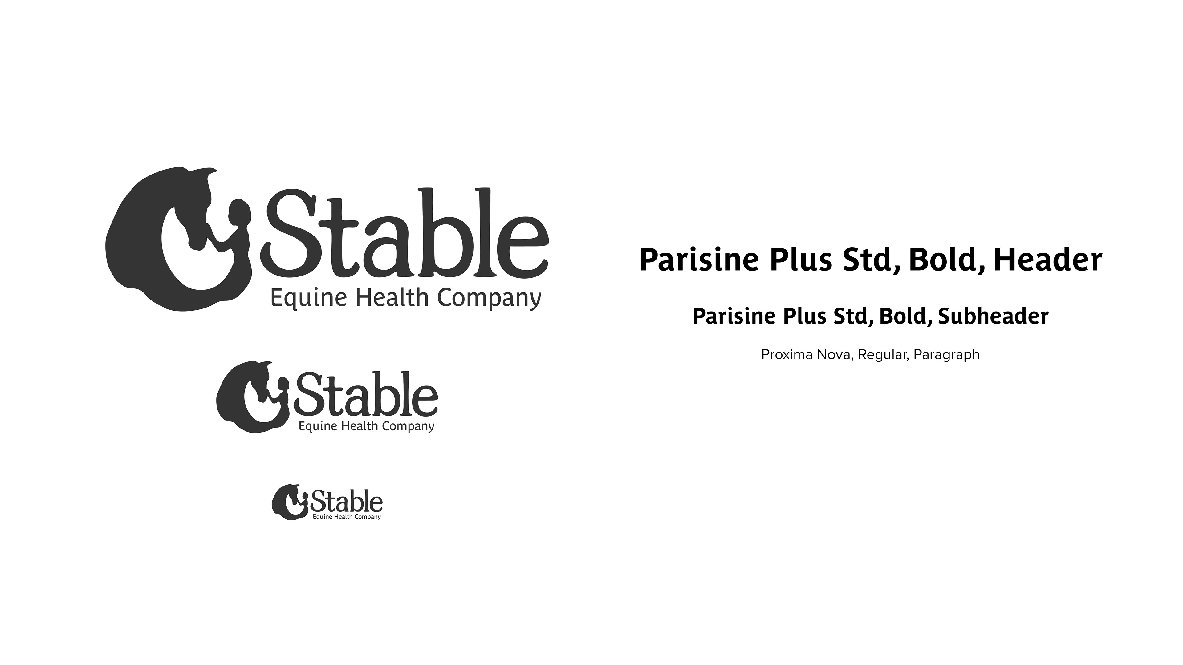 Logo Scaled and Brand Typography