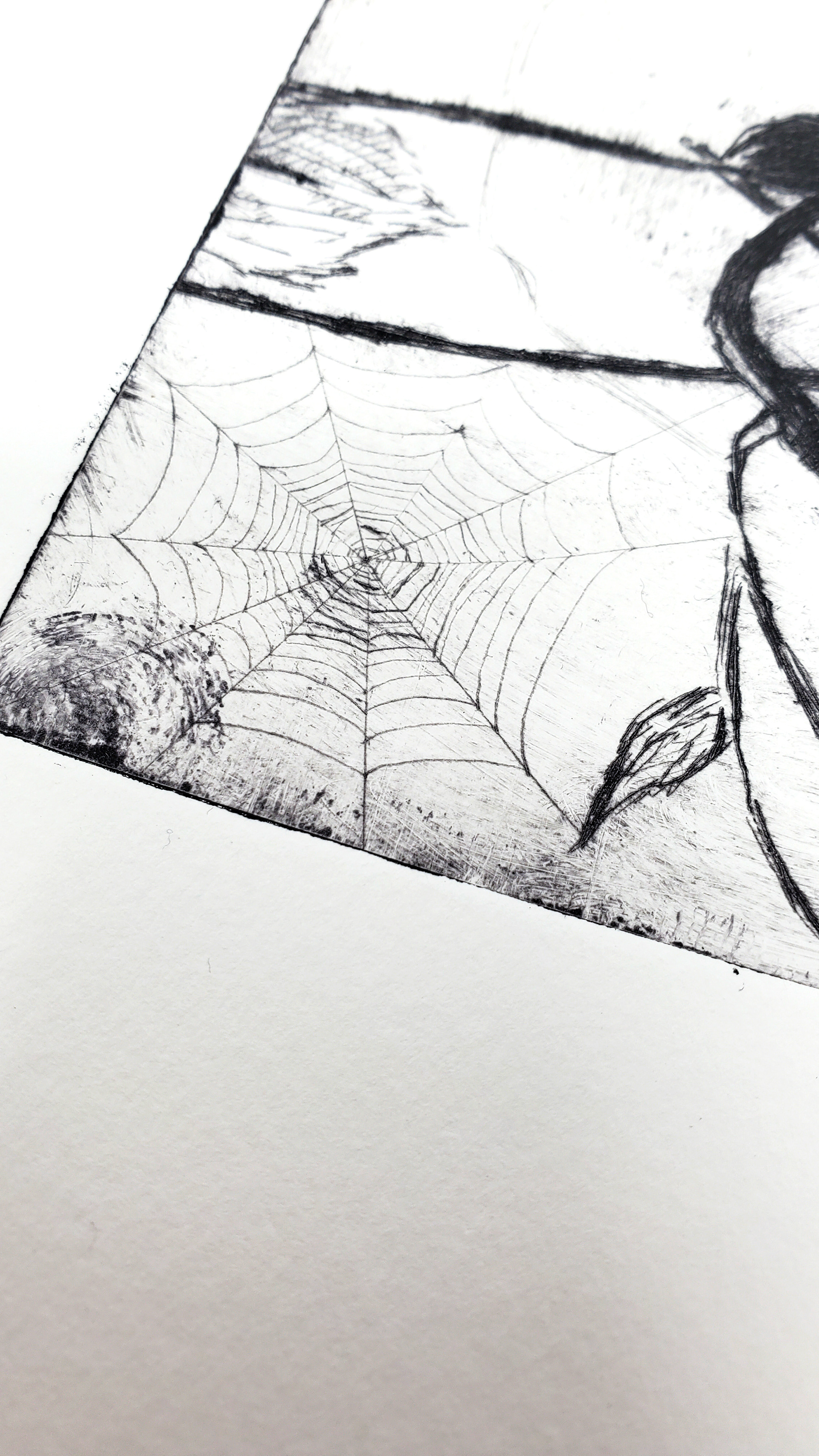 Intaglio Print, B&W Detail