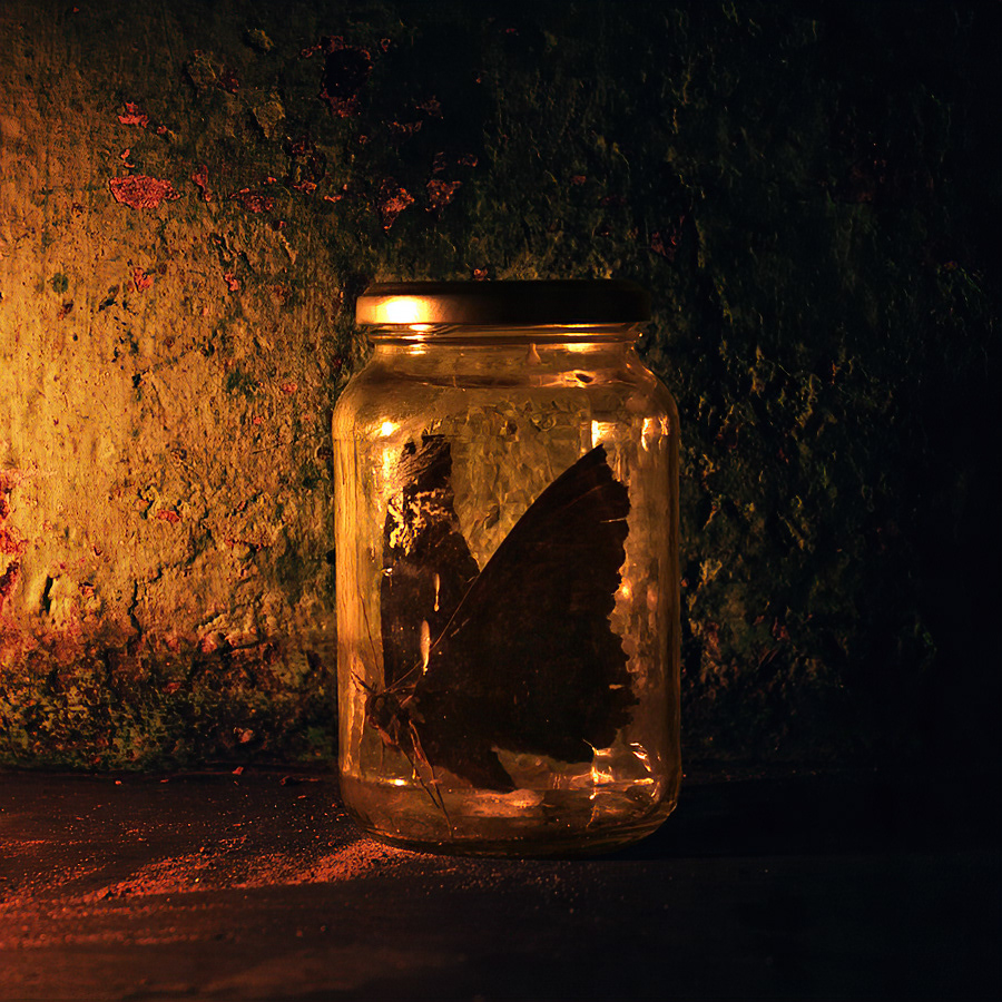 Mariposa