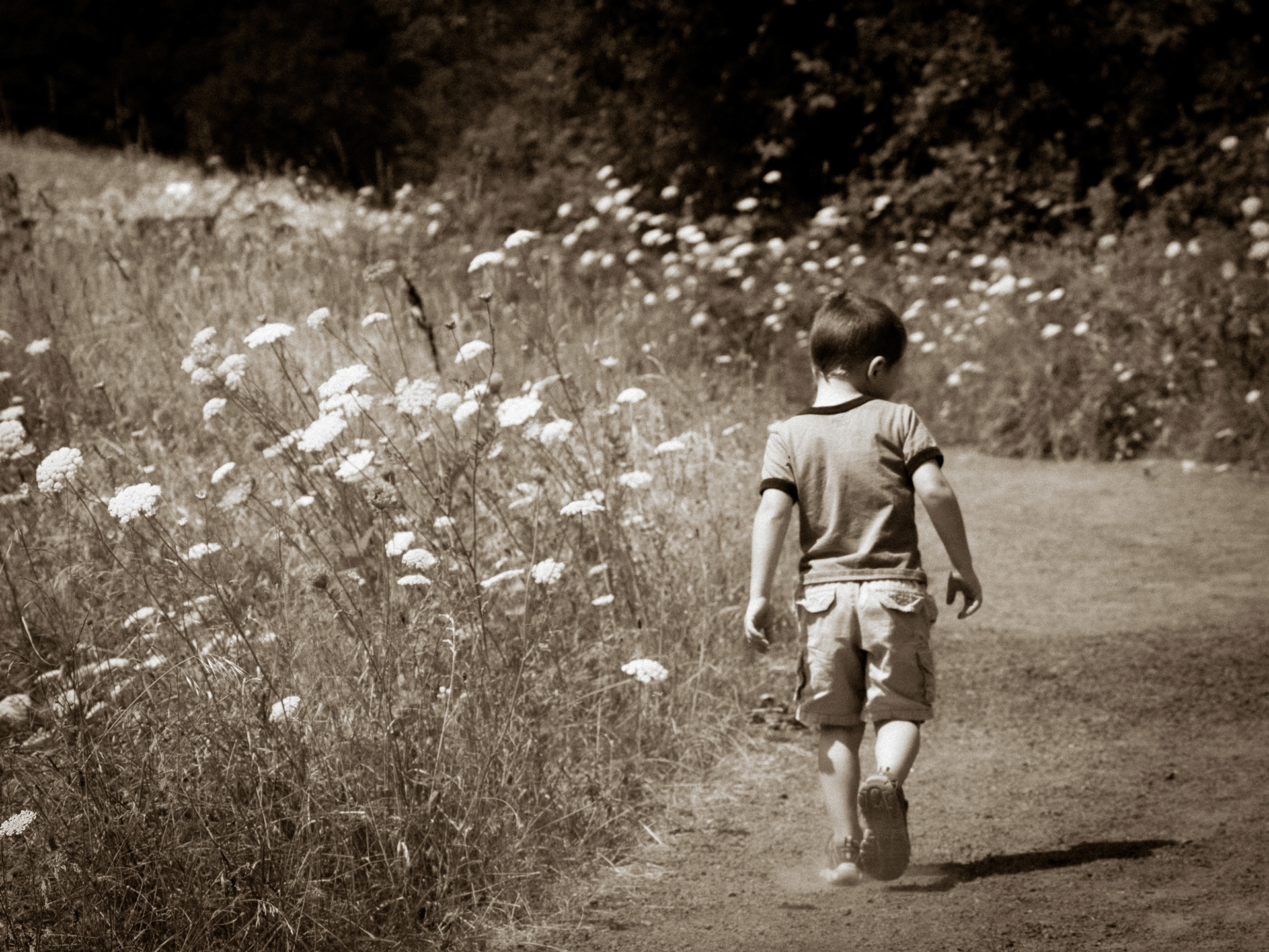 Young Nigel, Oregon