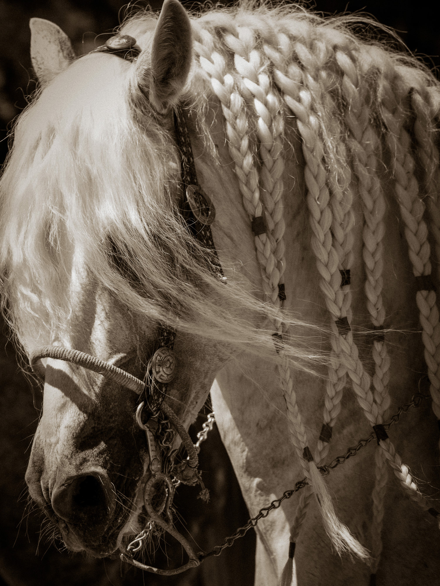 Cavadu | Ojai, California