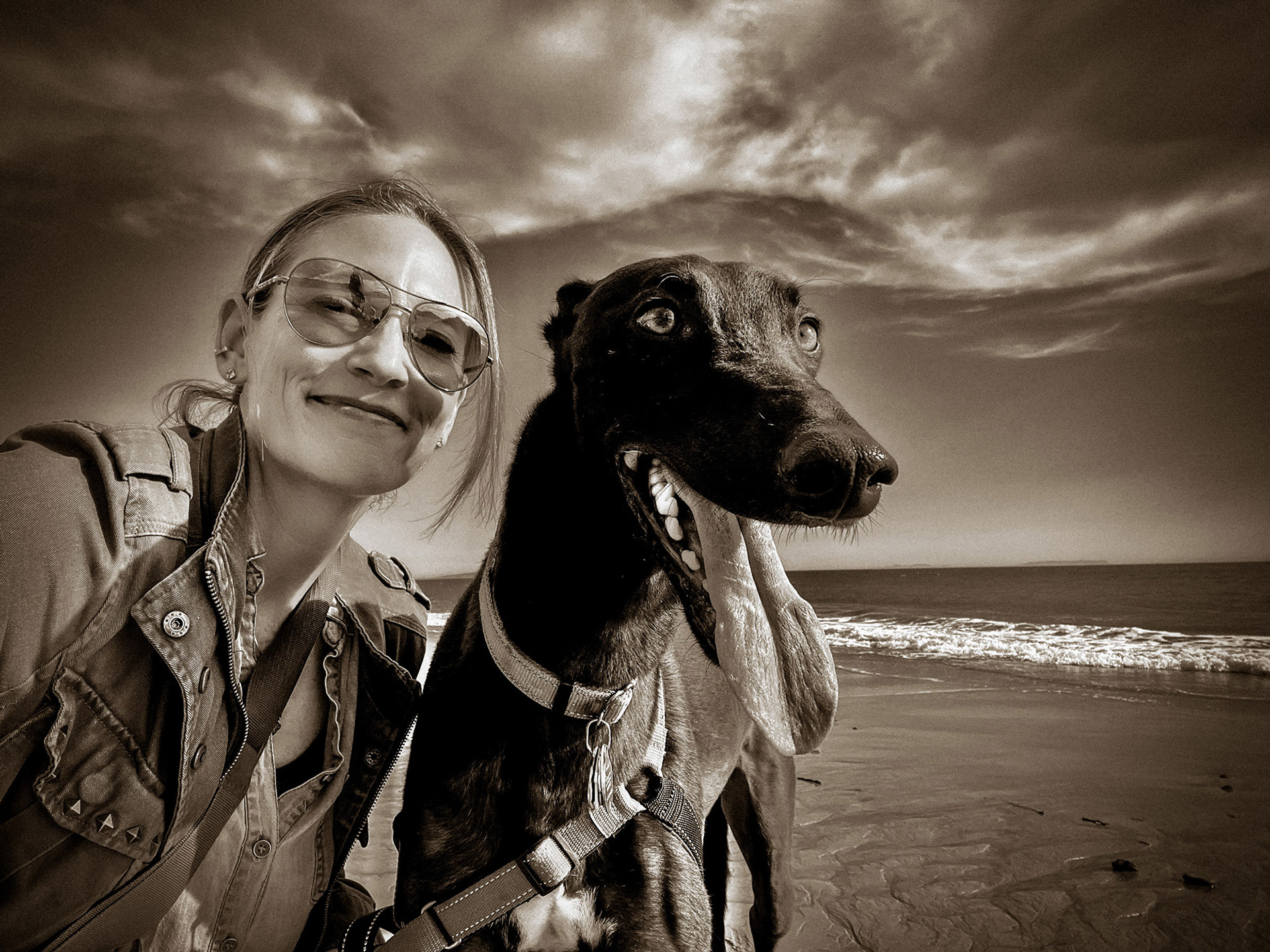 Smiling black Greyhound with photographer, Brandy Nightingale, on the beach in Malibu, California. Black and white.