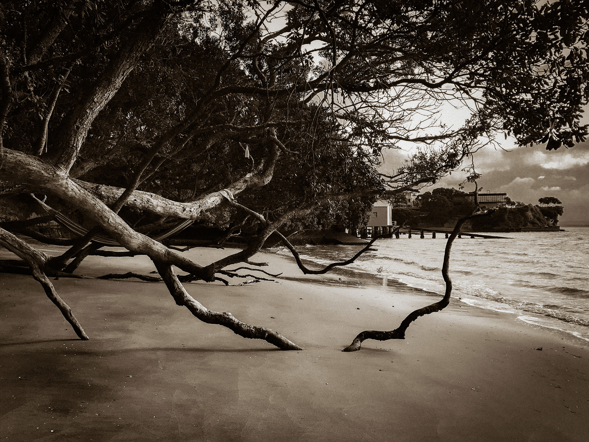 Secret Spot | Auckland, New Zealand