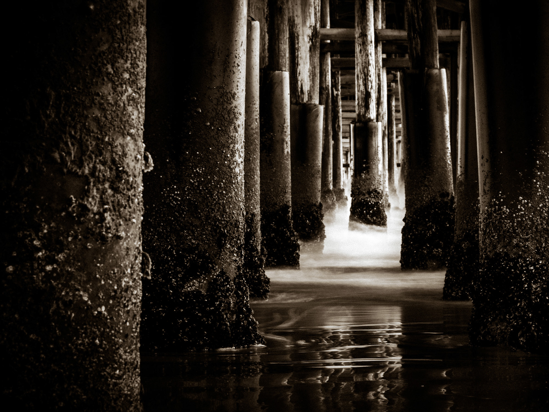 I'm Hiding | Ventura, California