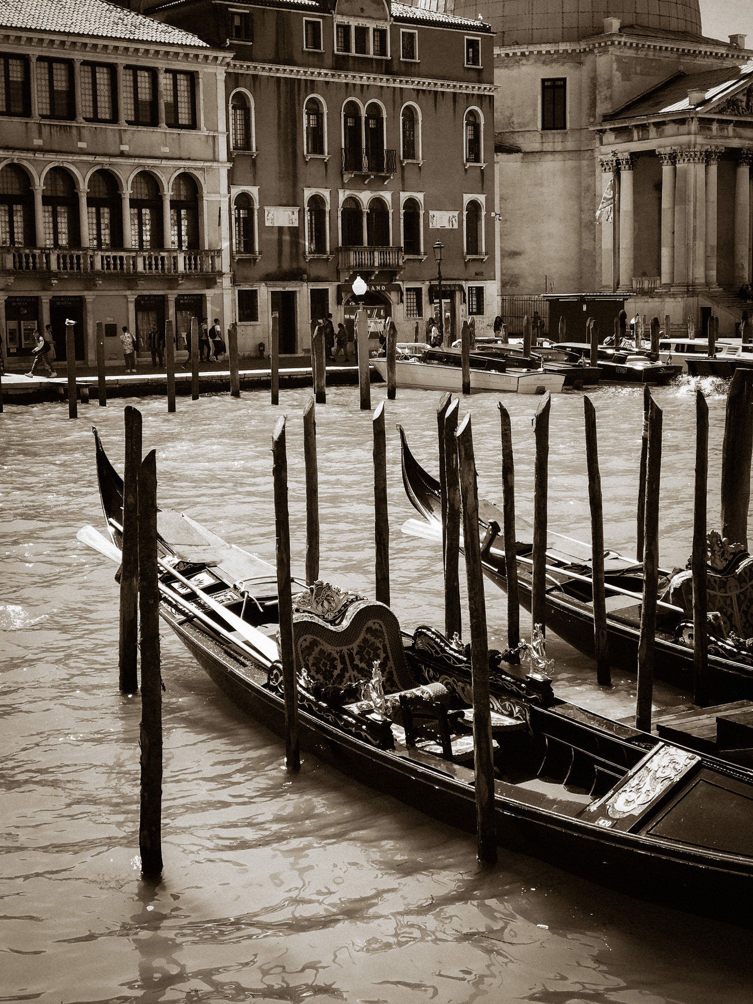 Old New World | Venice, Italy