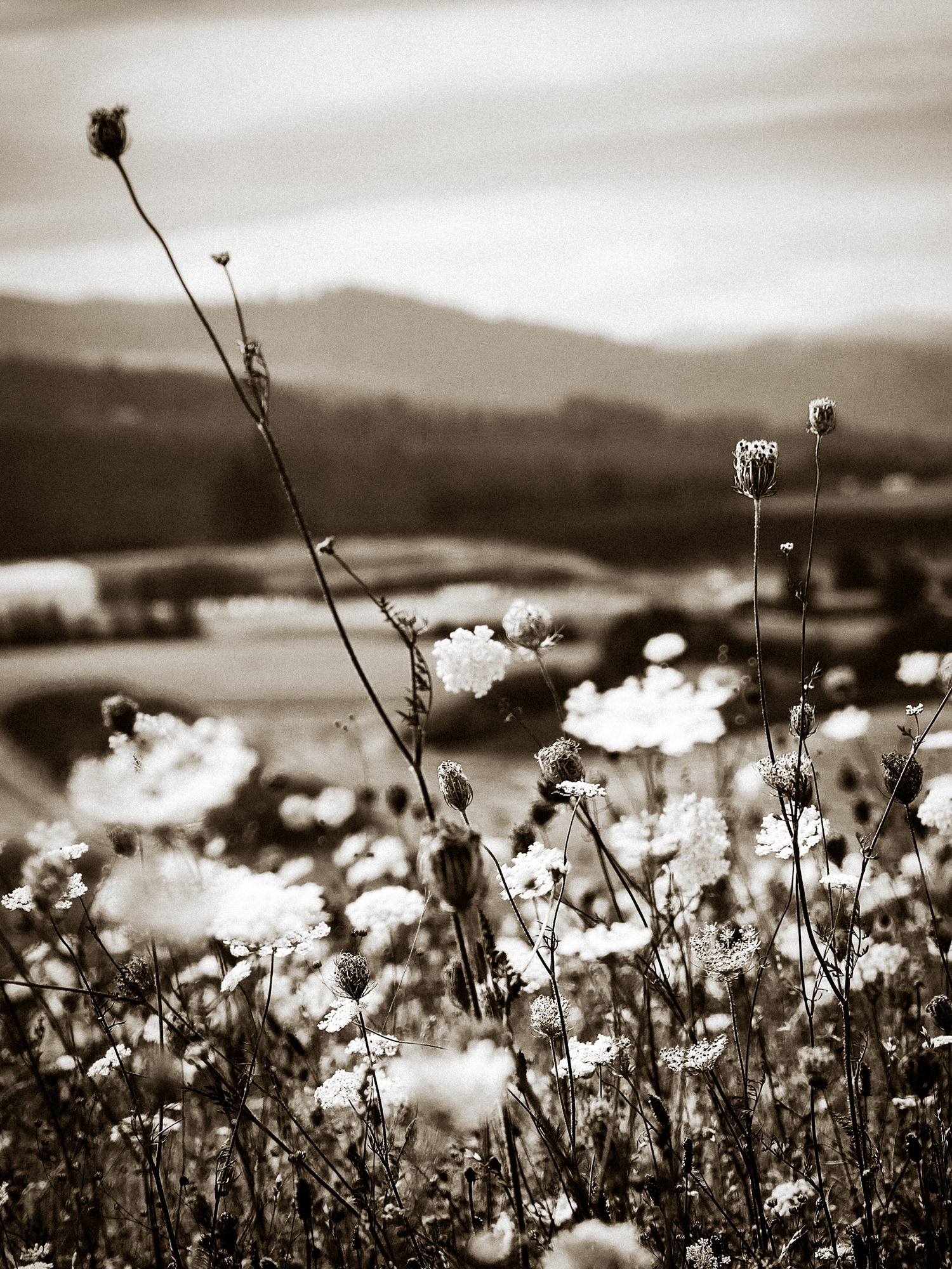 Overreach | Oregon
