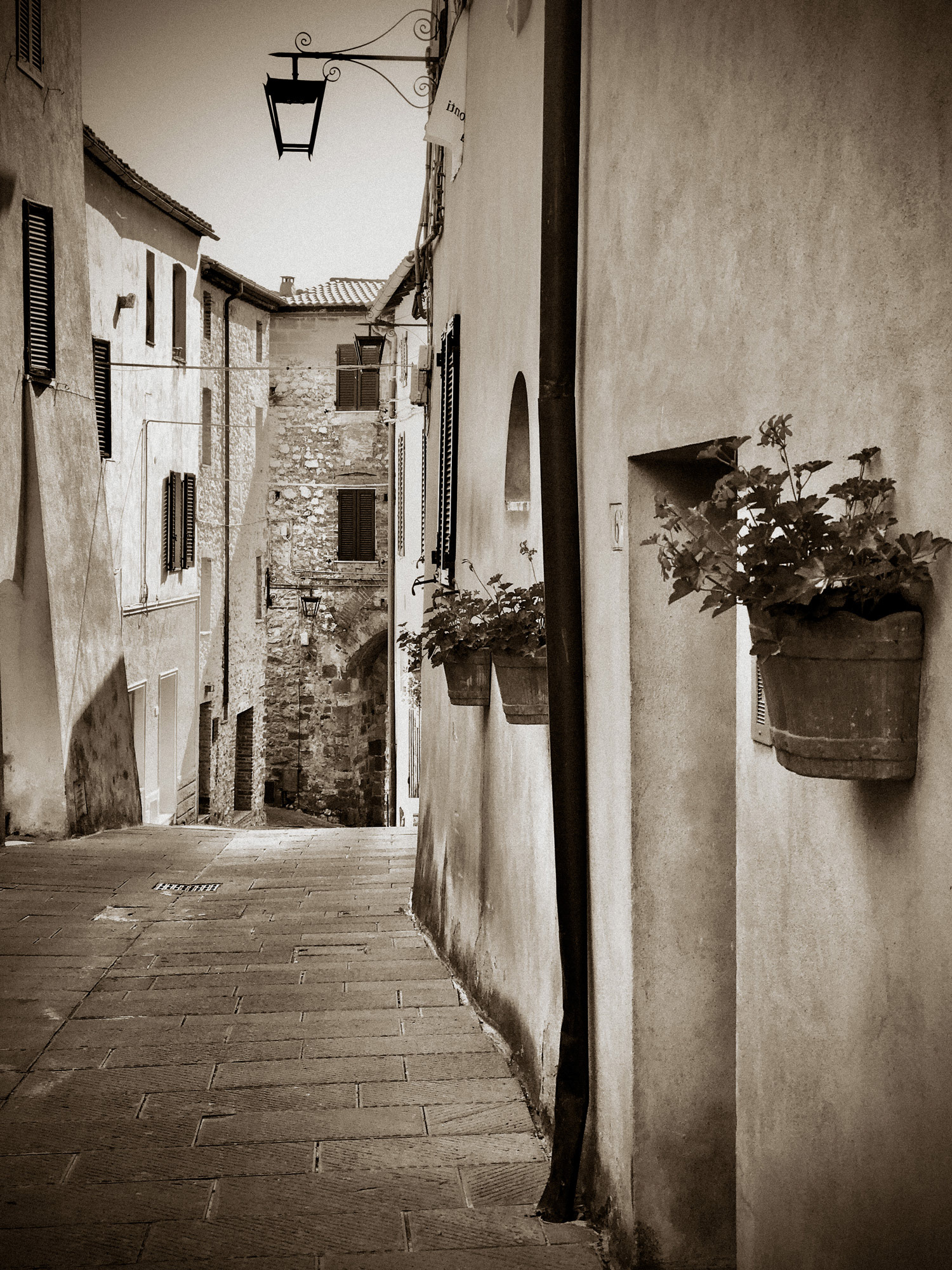 Commune Pathway | Trequanda, Italy