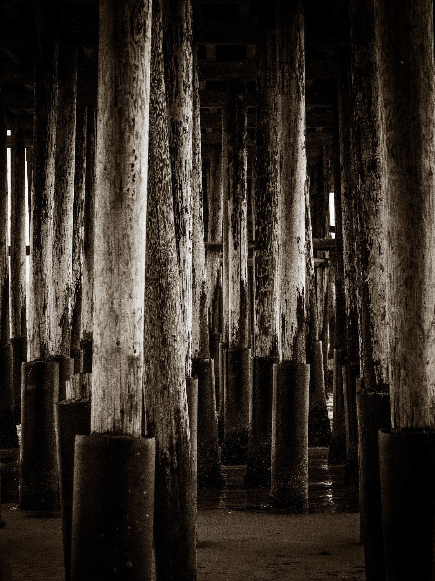 Too Many Pilings | Ventura, California