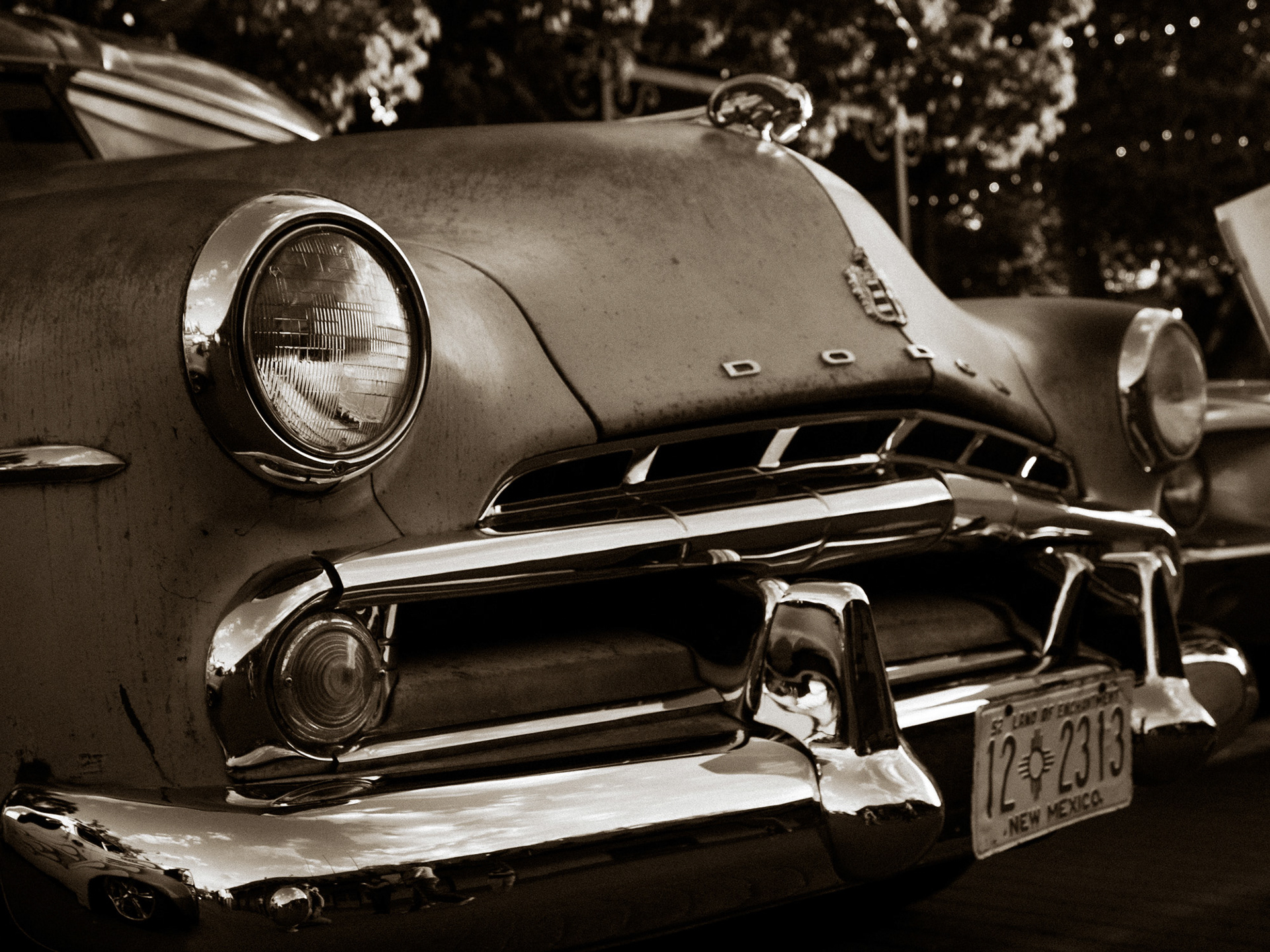 Rescued Dodge | Santa Fe, New Mexico