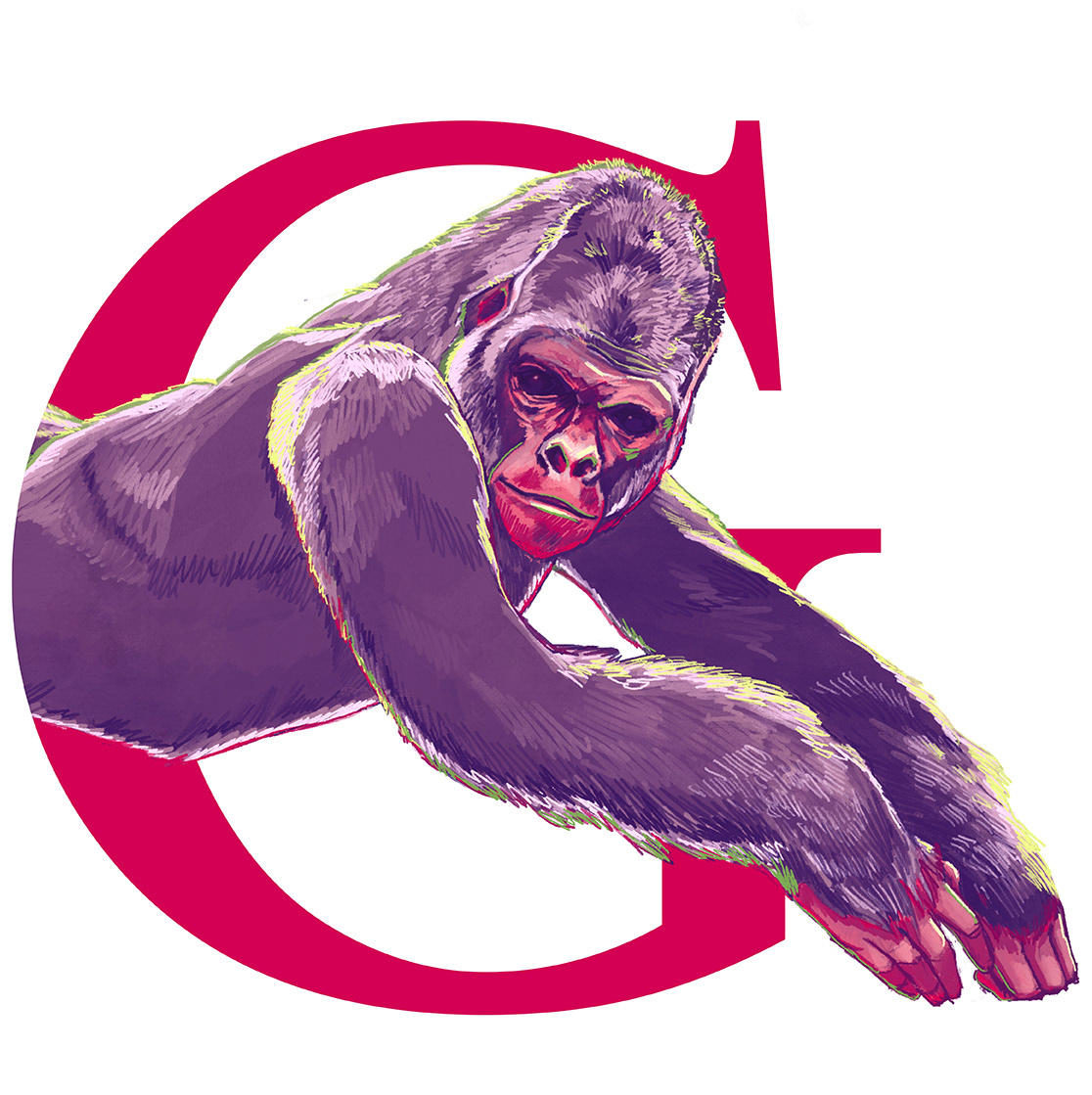 Gorilla