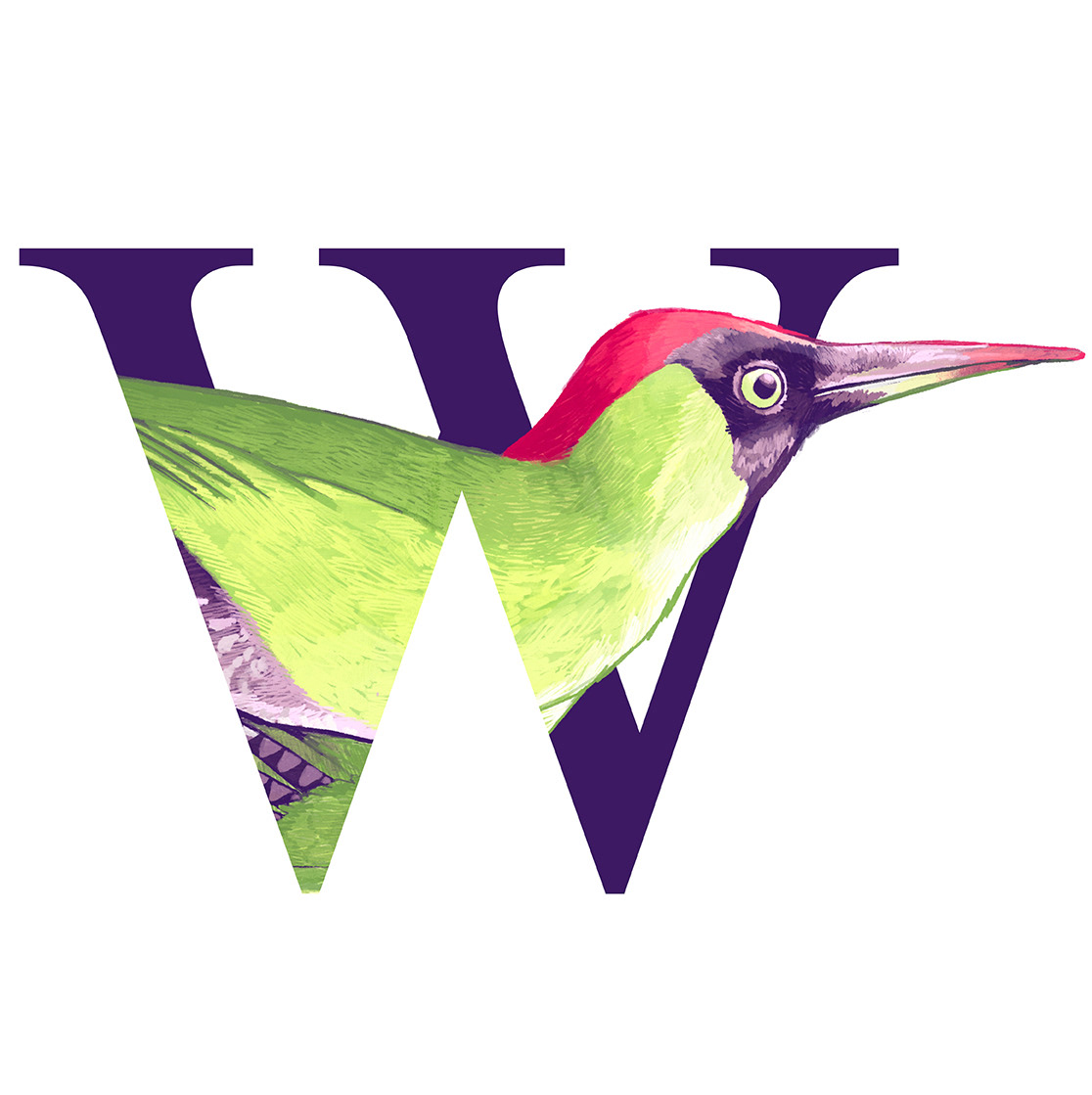 Woodpecker