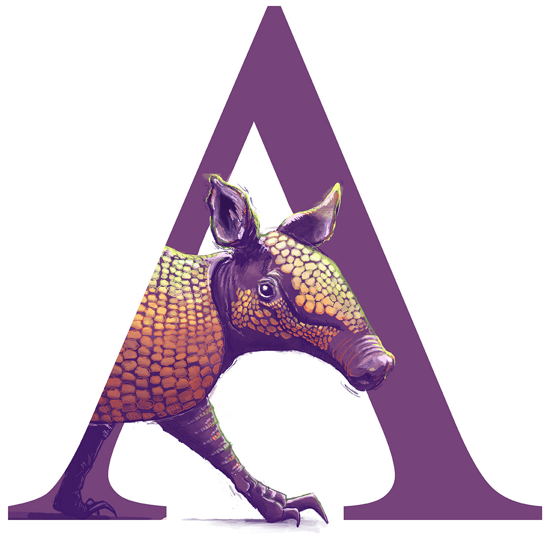 Armadillo