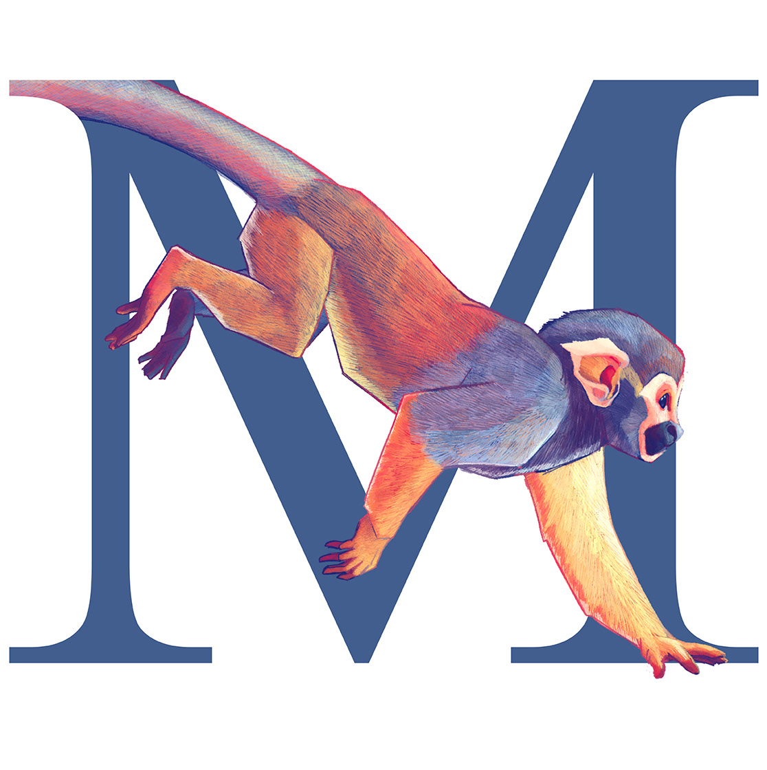 Monkey