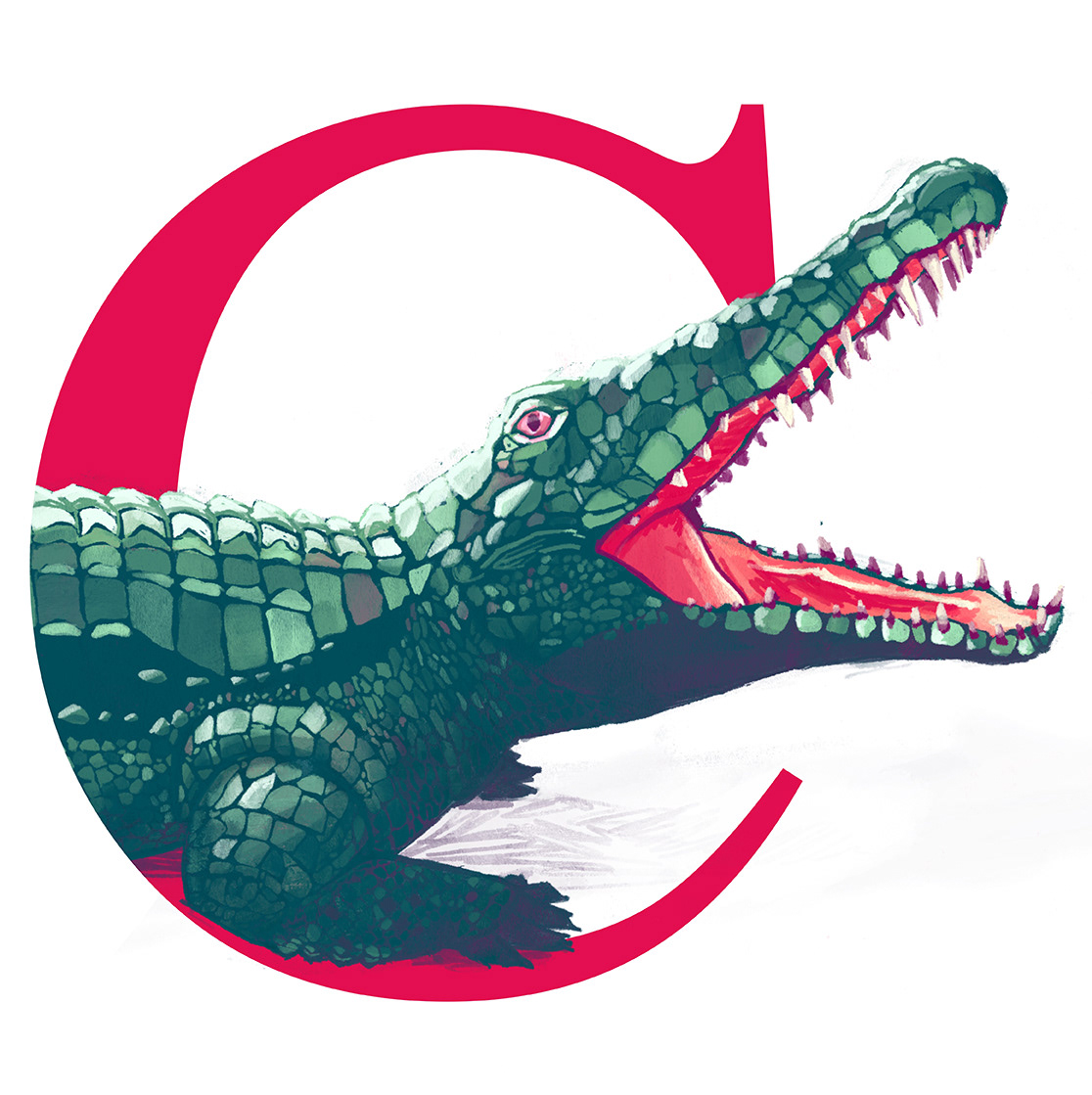 Crocodile / Coccodrillo