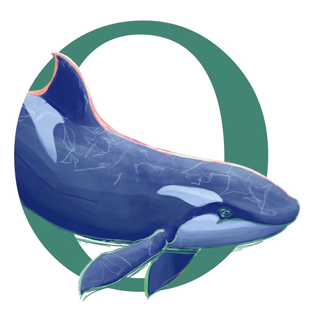 Orca